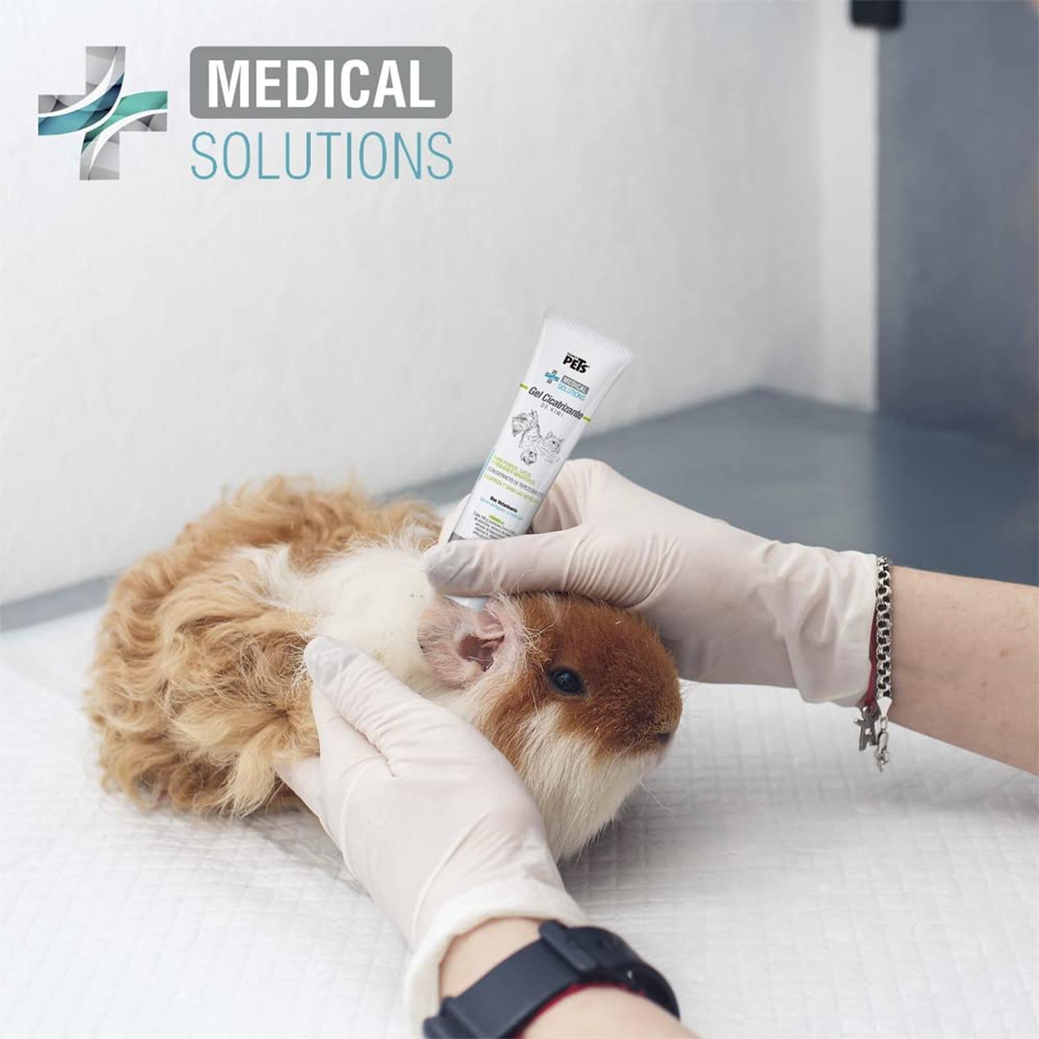 Gel Cicatrizante Kiwi Vitam. Heridas Medical Solutions 70g | G.Valkyria - imagen 7