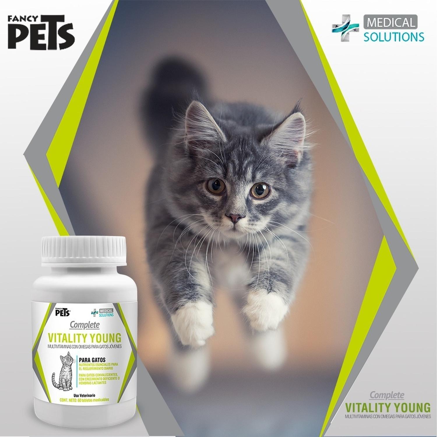 MS Vitaminas para gatos convalecientes crecimiento lactacion de Medical Solutions | G.Valkyria - imagen 2