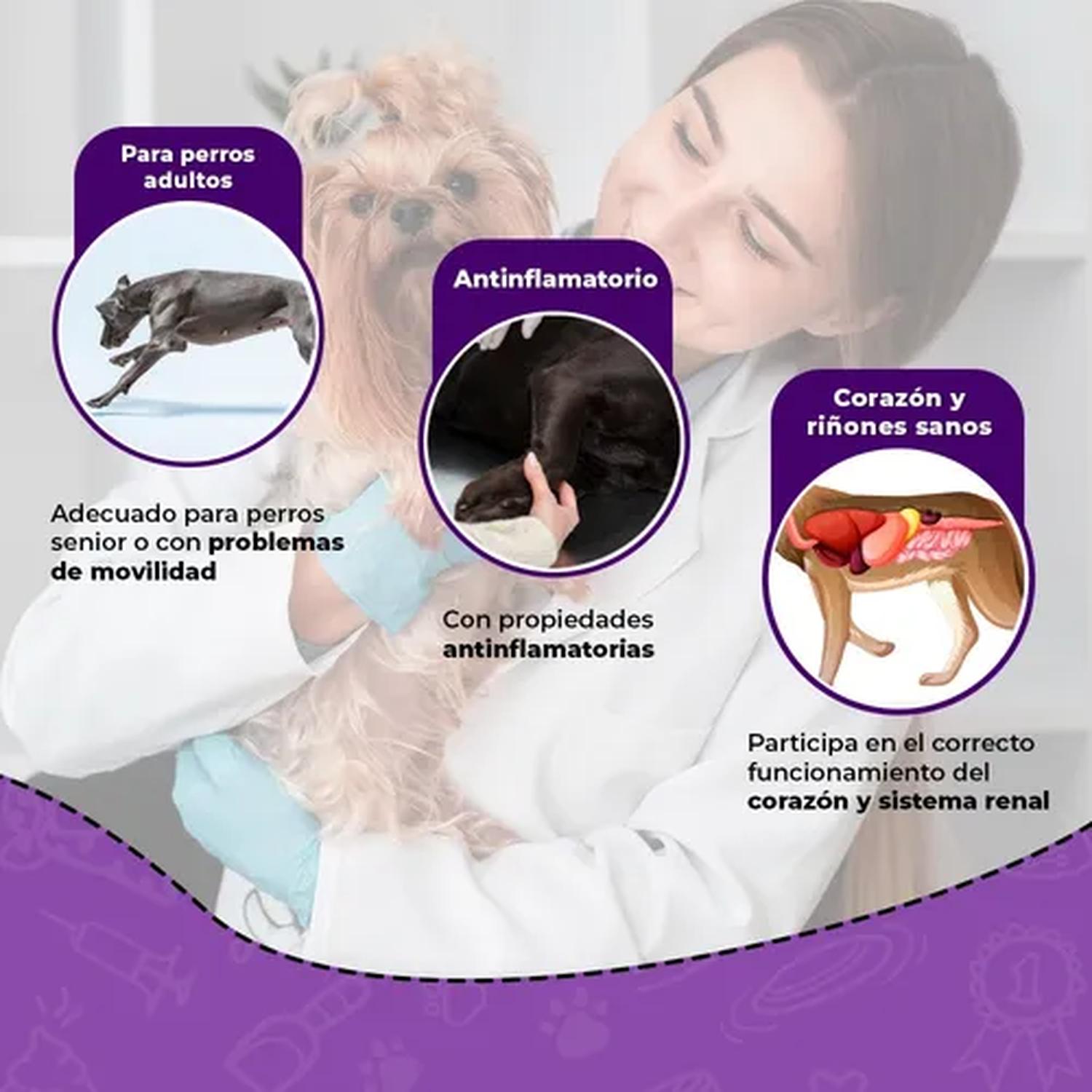 Medical Solutions tabletas perro articulaciones glucosamina | G.Valkyria - imagen 2