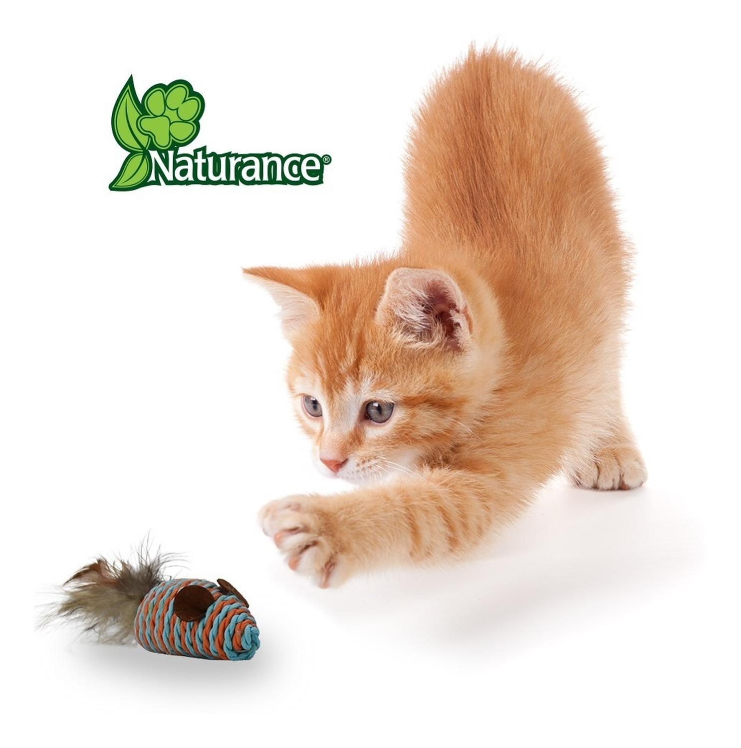 Naturance Juguete Ecológico Para Gato modelo Ratones 2 | G.Valkyria - imagen 5
