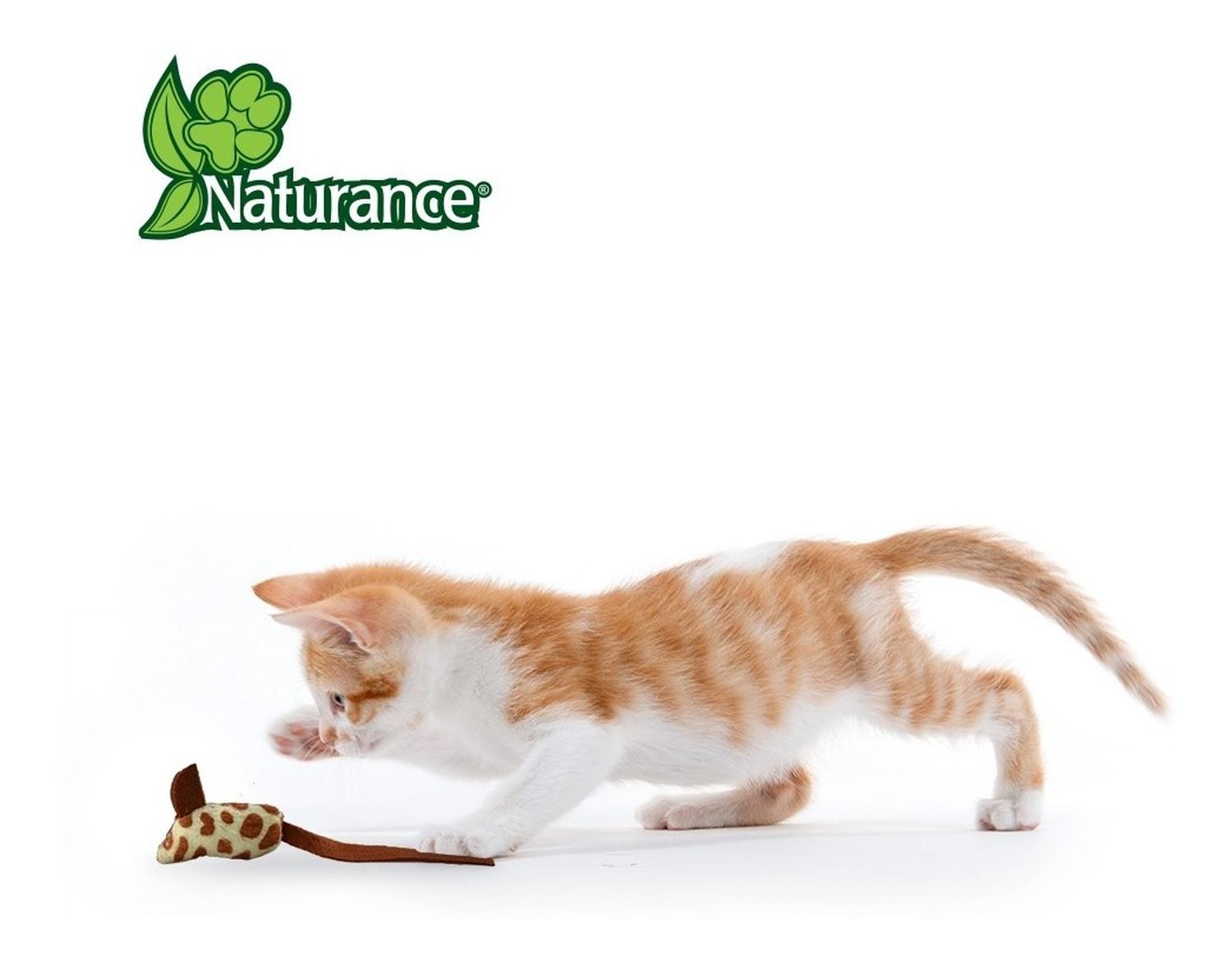 Naturance Juguete Ecologico Para Gato modelo Ratones 3 Pzas | G.Valkyria - imagen 4