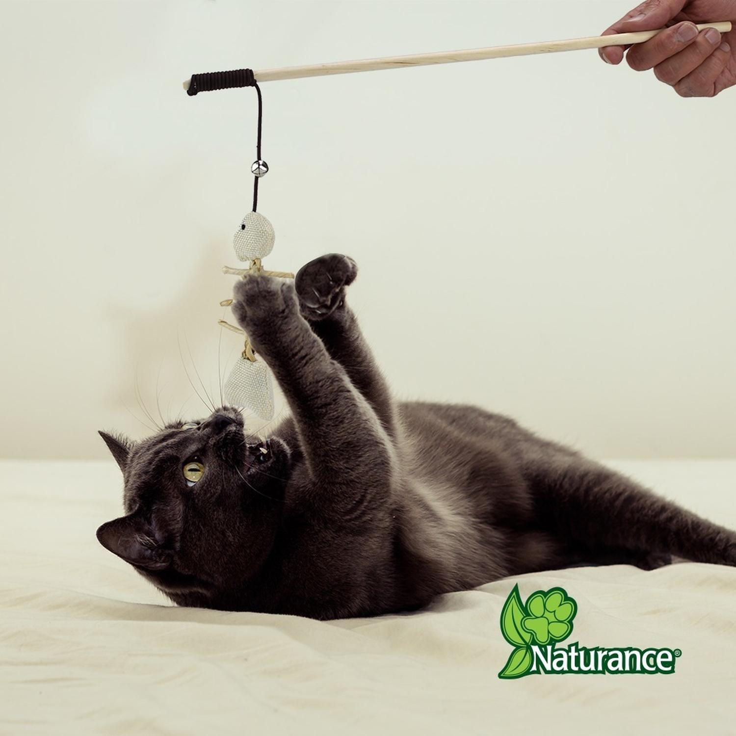 Naturance Juguete Ecologico Para Gato Varita modelo Pescado | G.Valkyria - imagen 3