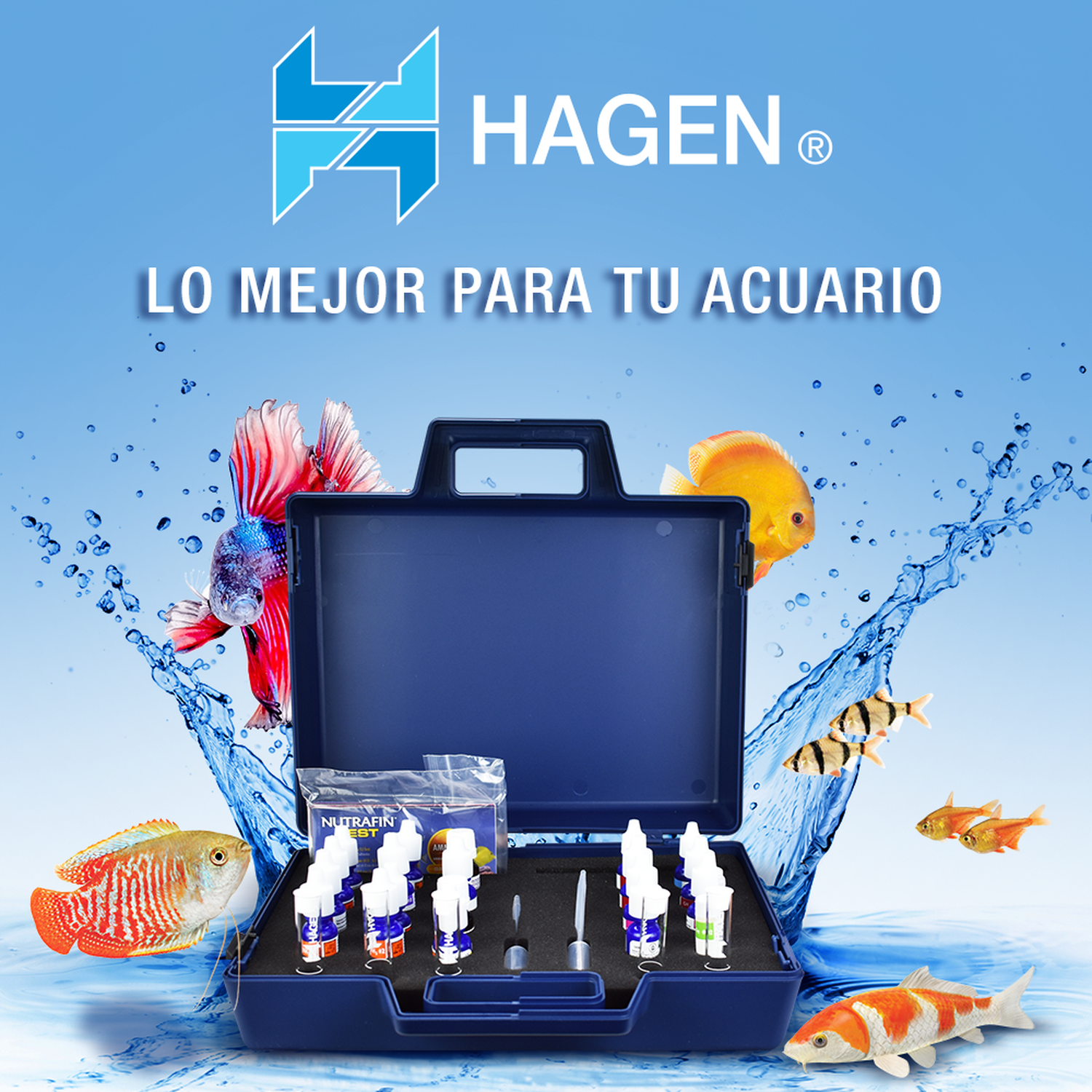 Kit Maestro Mide Ph Kh Gh Nitrato Amoniaco Para Pecera de Nutrafin | G.Valkyria - imagen 3