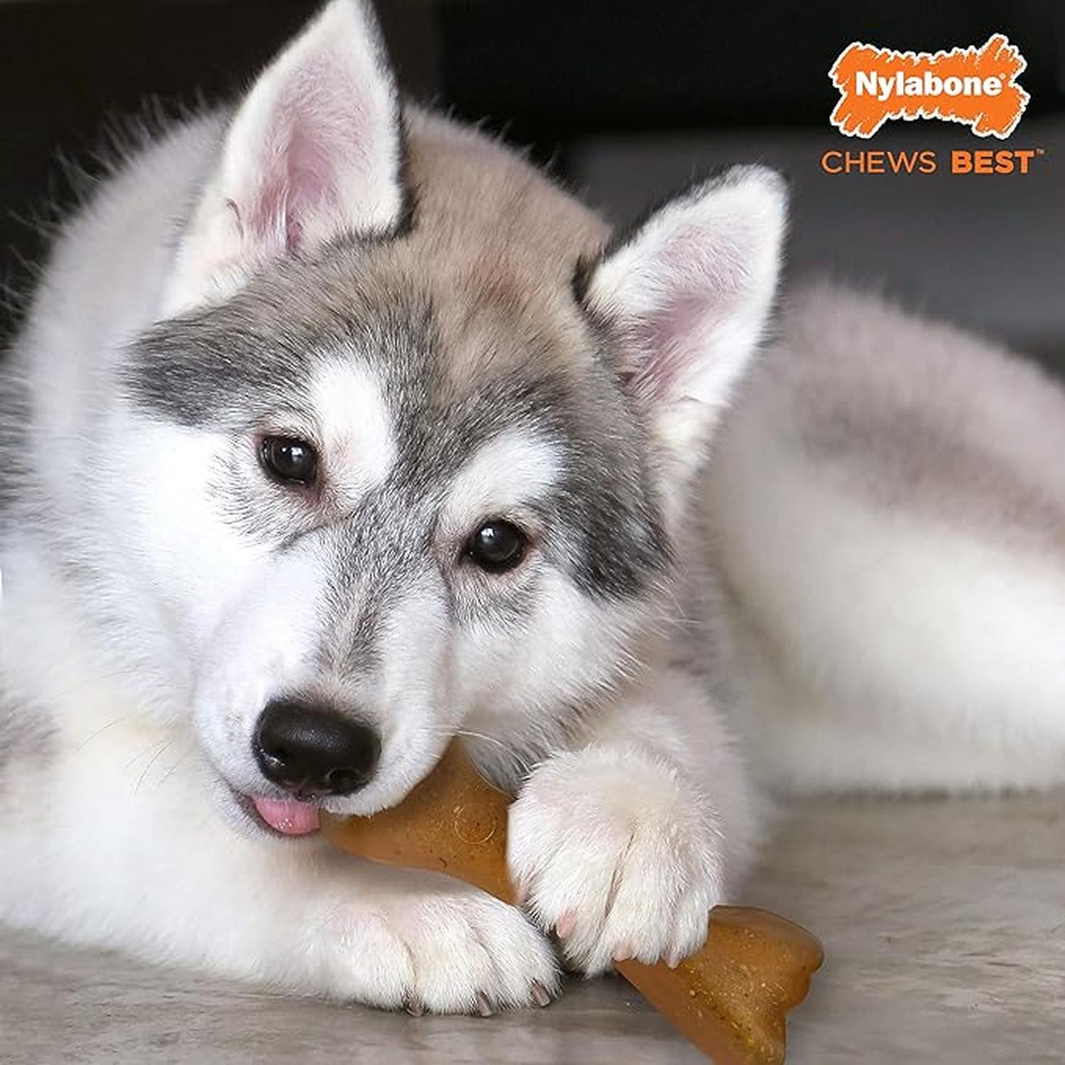 Hueso Juguete Nylabone perro Puppy Carne 11kg Beef bone | G.Valkyria - imagen 5
