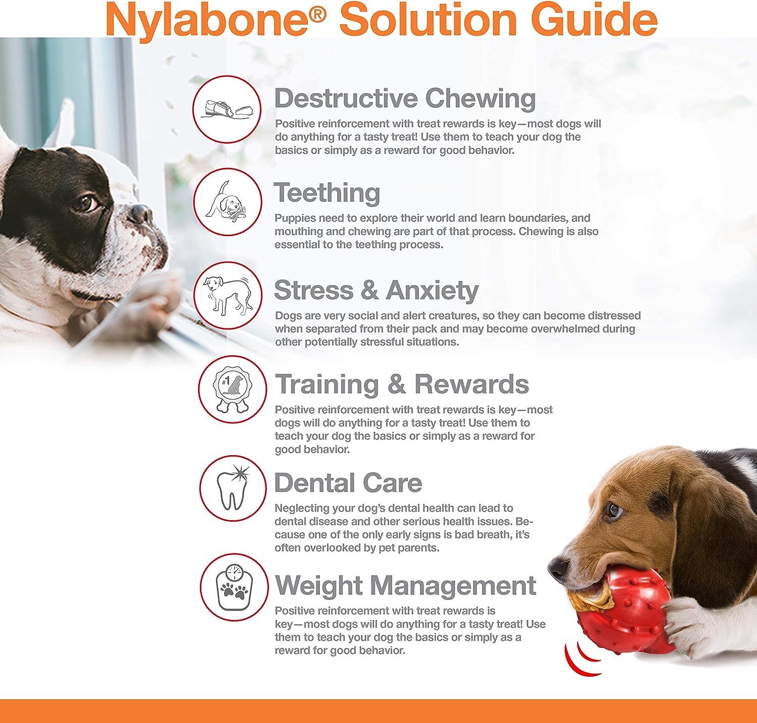 Juguete Huesos Nylabone Dura Power Chew Manzana 2pz 11kg | G.Valkyria - imagen 6
