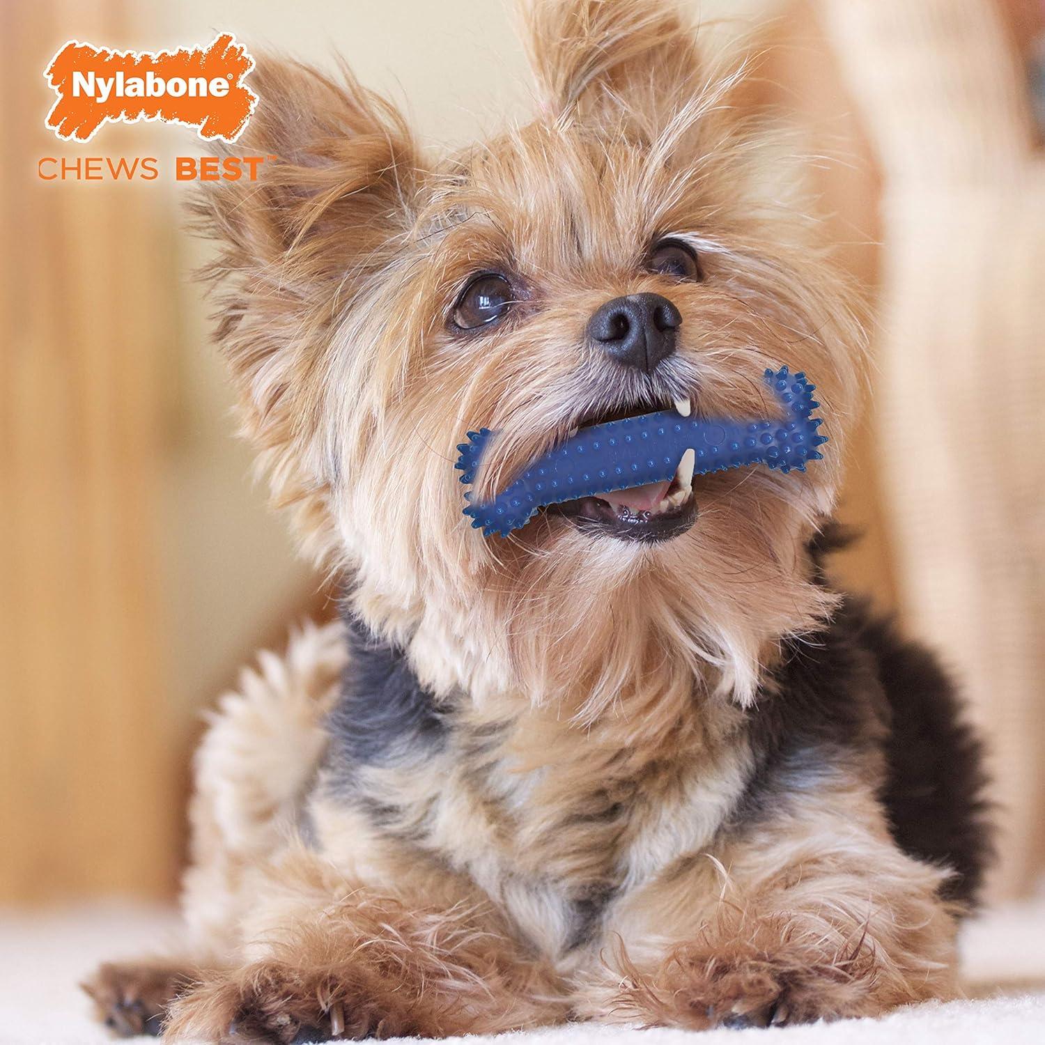 Juguete Nylabone perro Dental Chew 11 kg tartar | G.Valkyria - imagen 5
