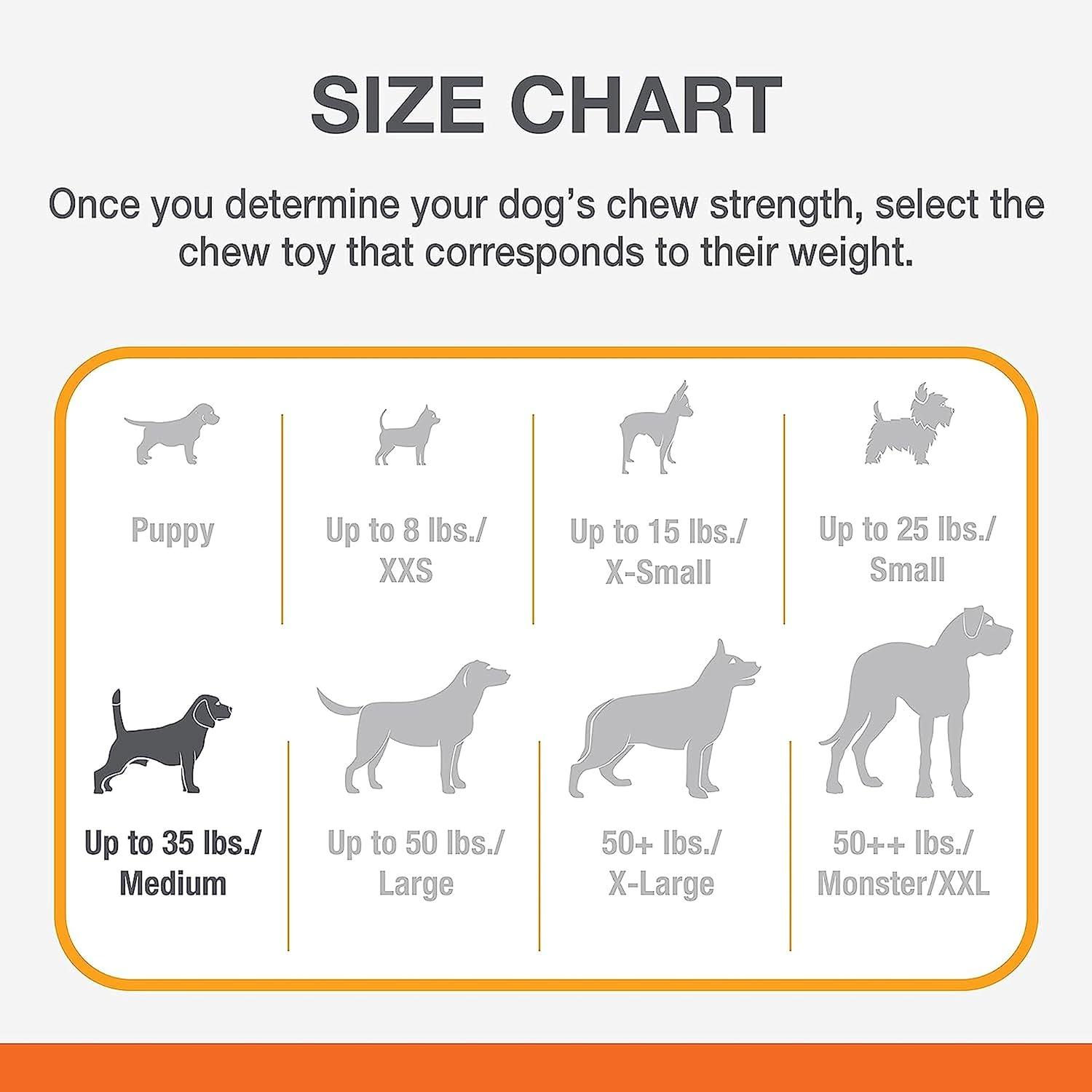Juguete Nylabone perro Paquete Etapas Cachorrito 16kg | G.Valkyria - imagen 4