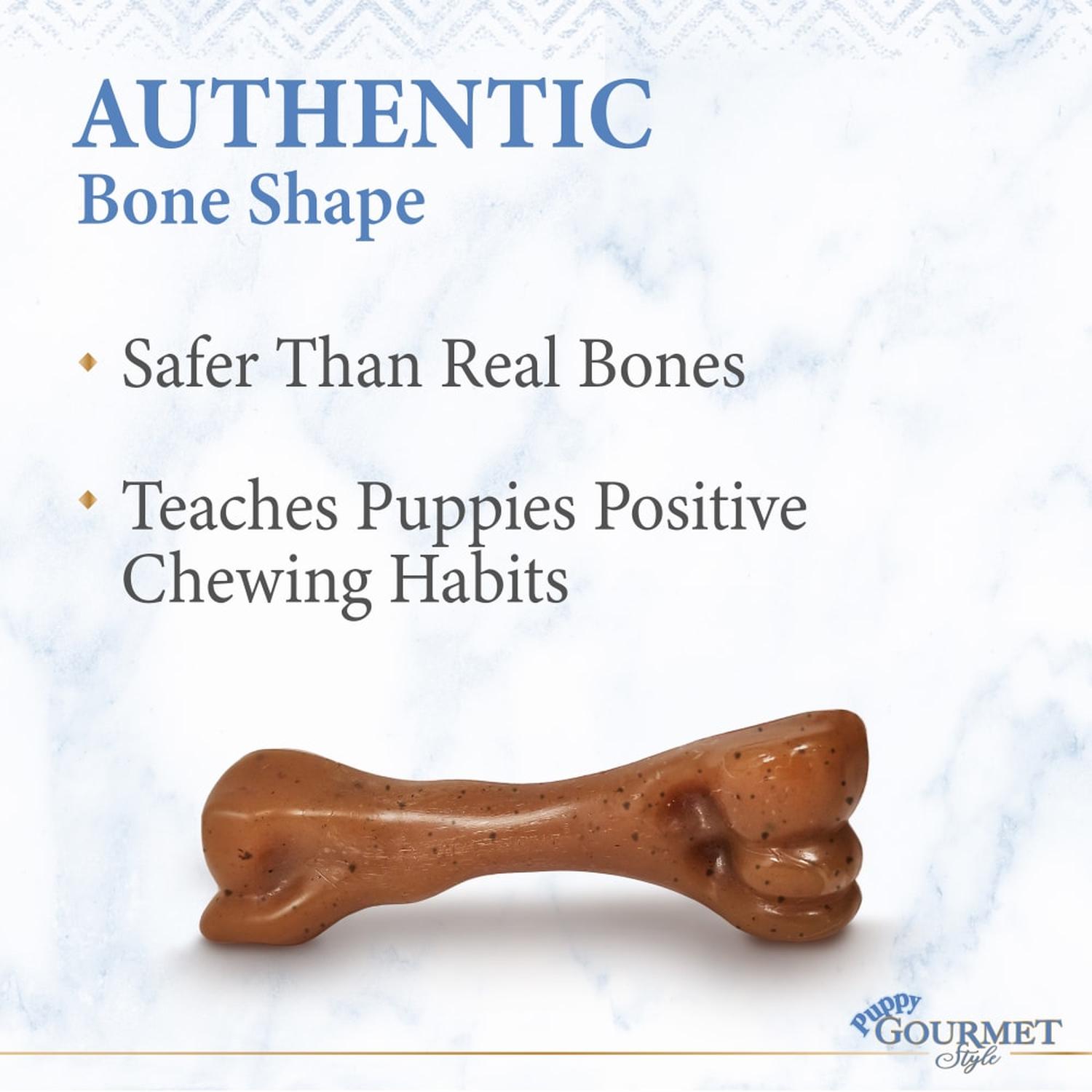 Nylabone juguete para Cachorro Fémur Gourmet Tocino chico | G.Valkyria - imagen 4