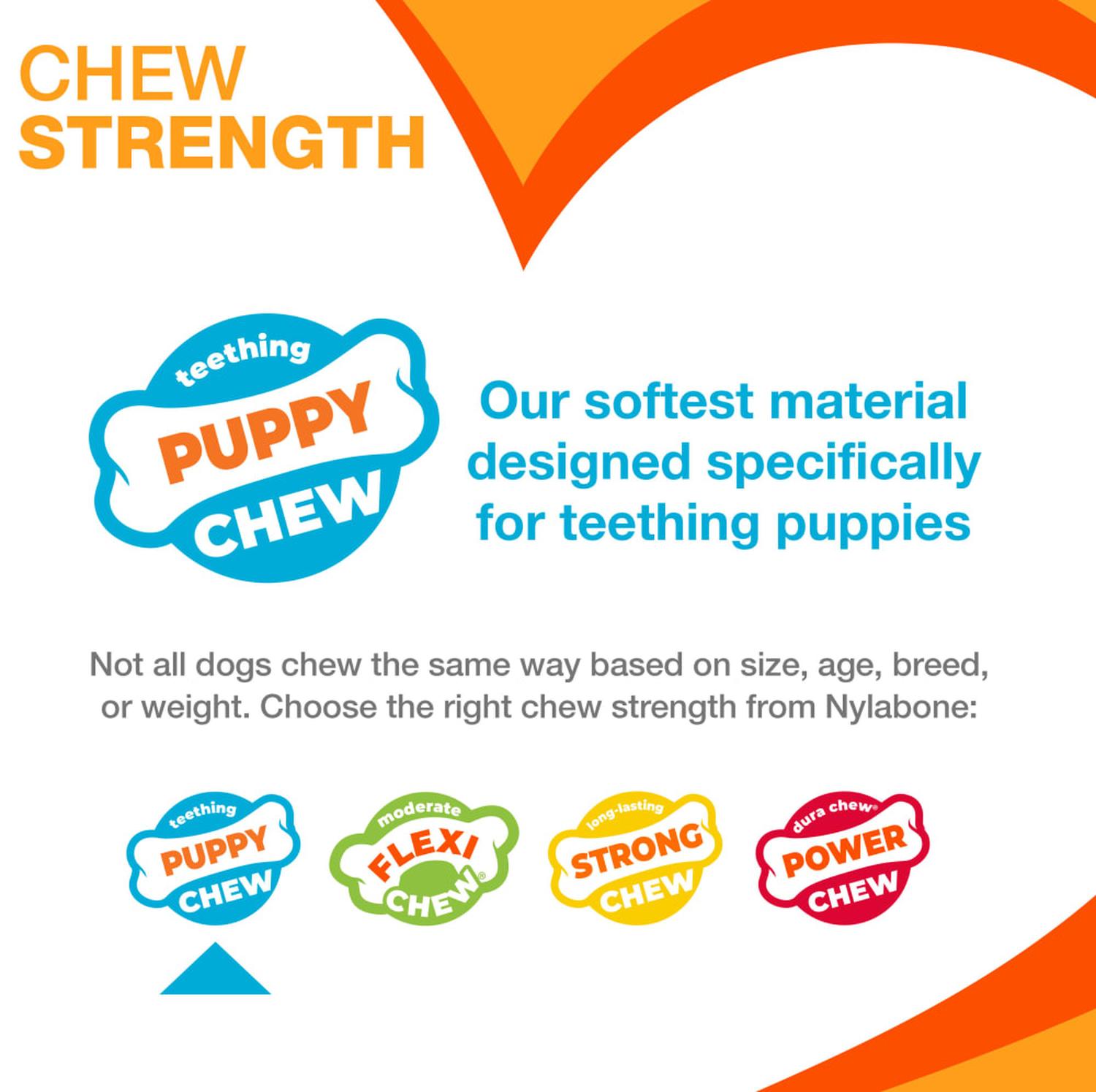 Nylabone juguete para cachorro Hueso Whishbone Chew Pollo | G.Valkyria - imagen 4