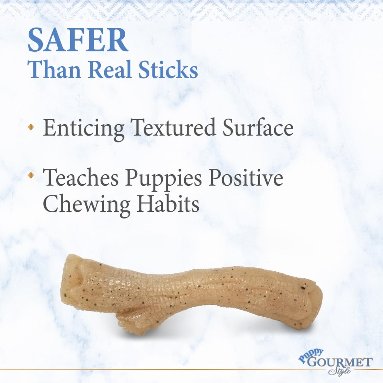 Nylabone juguete para cachorro Rama Gourmet Pollo mediano | G.Valkyria - imagen 4