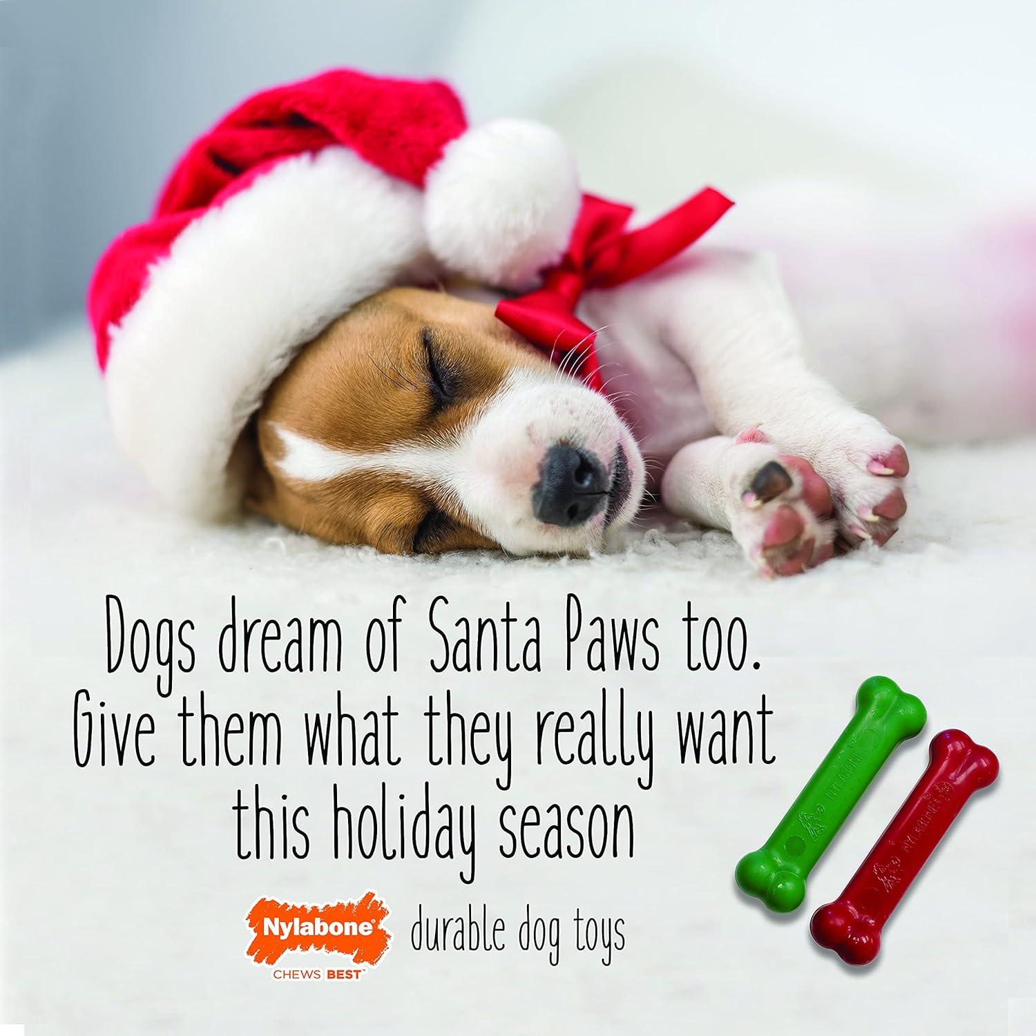 Nylabone juguete para perro chico navideño huesitos 2pack | G.Valkyria - imagen 3