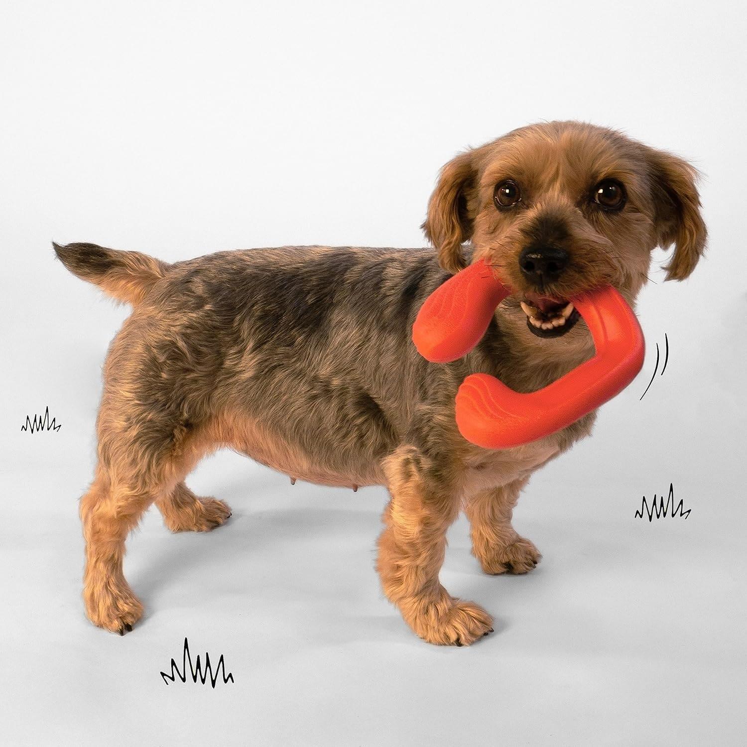 Nylabone juguete para perro Creative Play C-Shuu Rojo | G.Valkyria - imagen 4