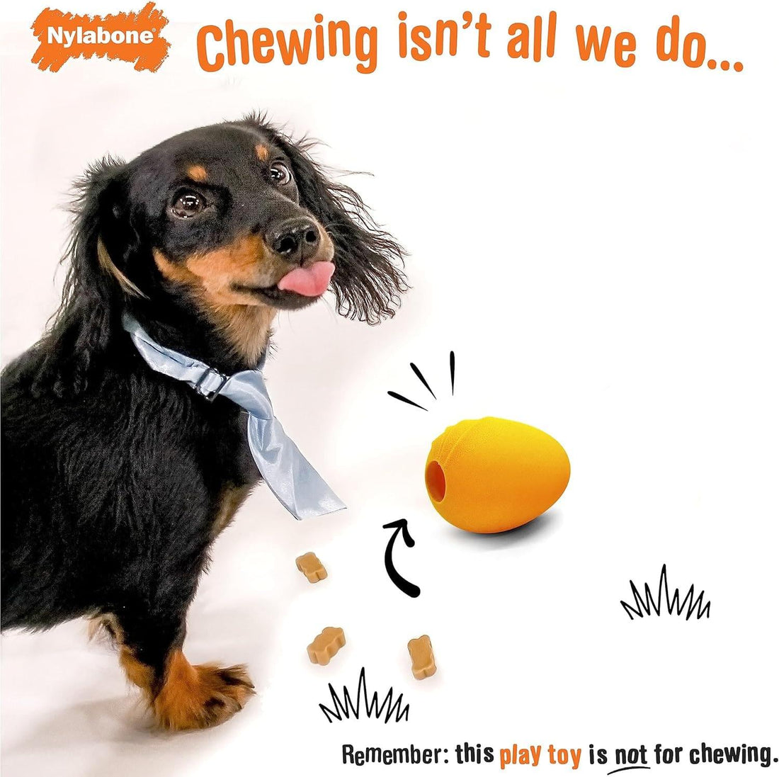 Nylabone juguete para perro Creative Play Eggi Naranja | G.Valkyria - imagen 1