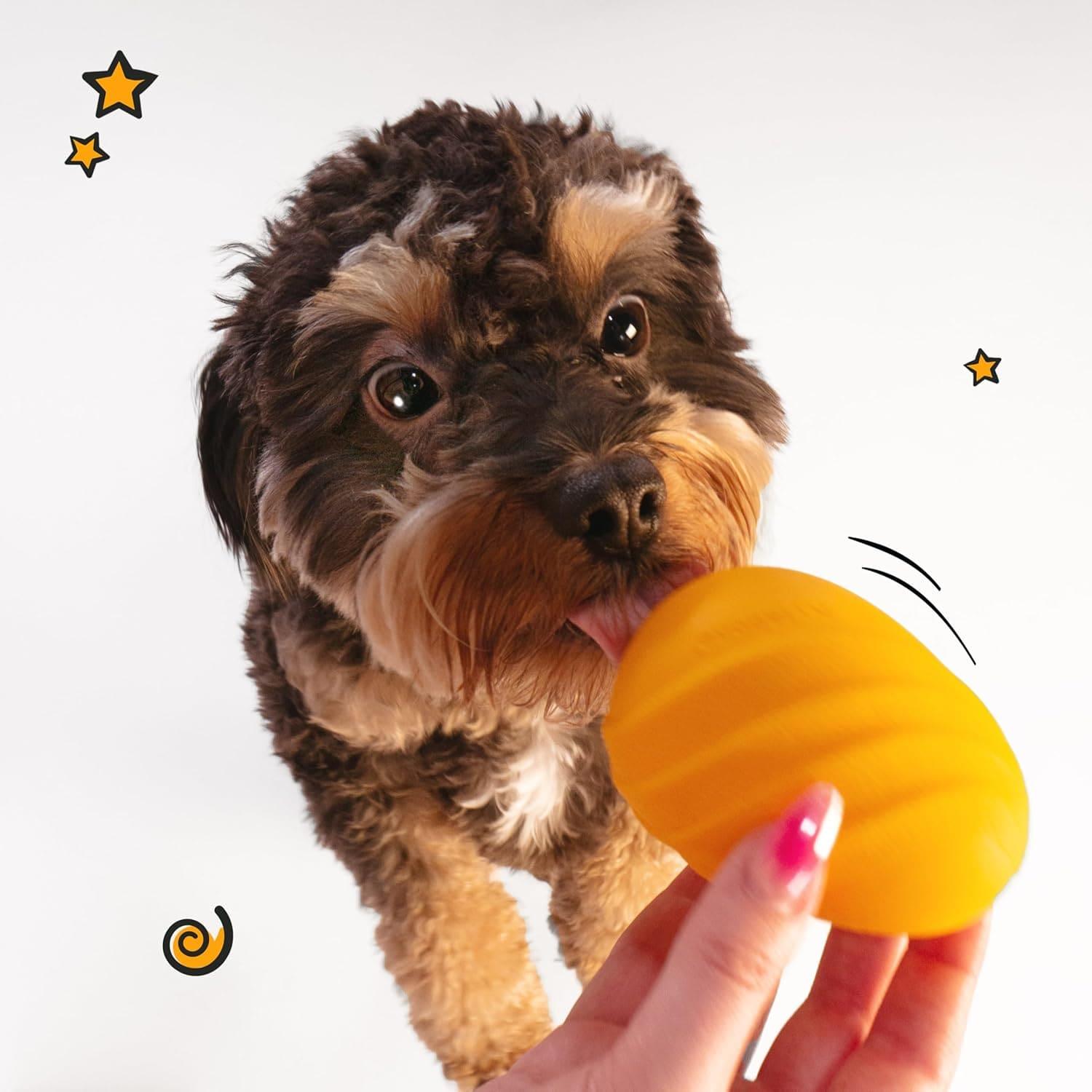 Nylabone juguete para perro Creative Play Eggi Naranja | G.Valkyria - imagen 5