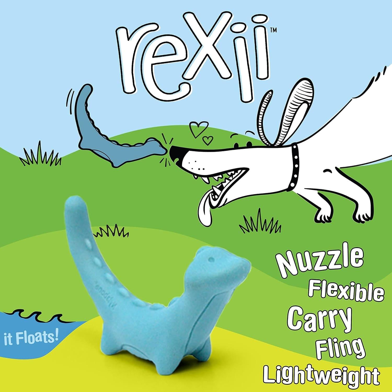 Nylabone juguete para perro Creative Play Rexii Azul chico | G.Valkyria - imagen 3