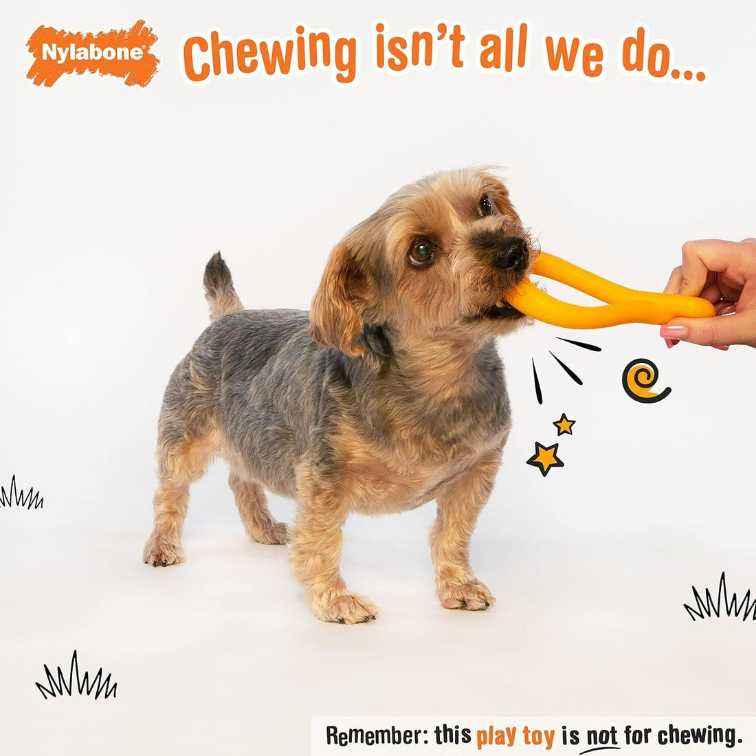 Nylabone juguete para perro Creative Play Tuug Naranja | G.Valkyria - imagen 1