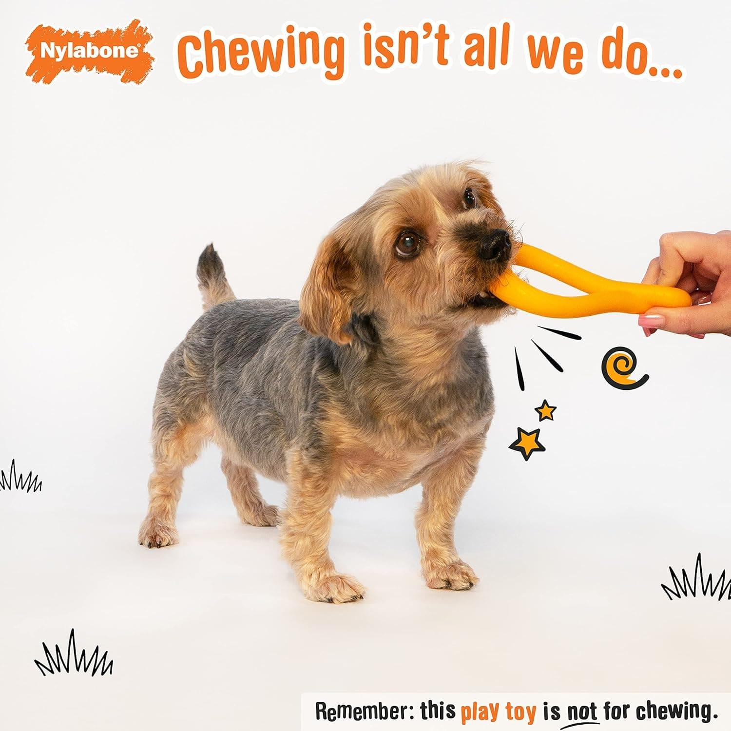 Nylabone juguete para perro Creative Play Tuug Naranja | G.Valkyria - imagen 2