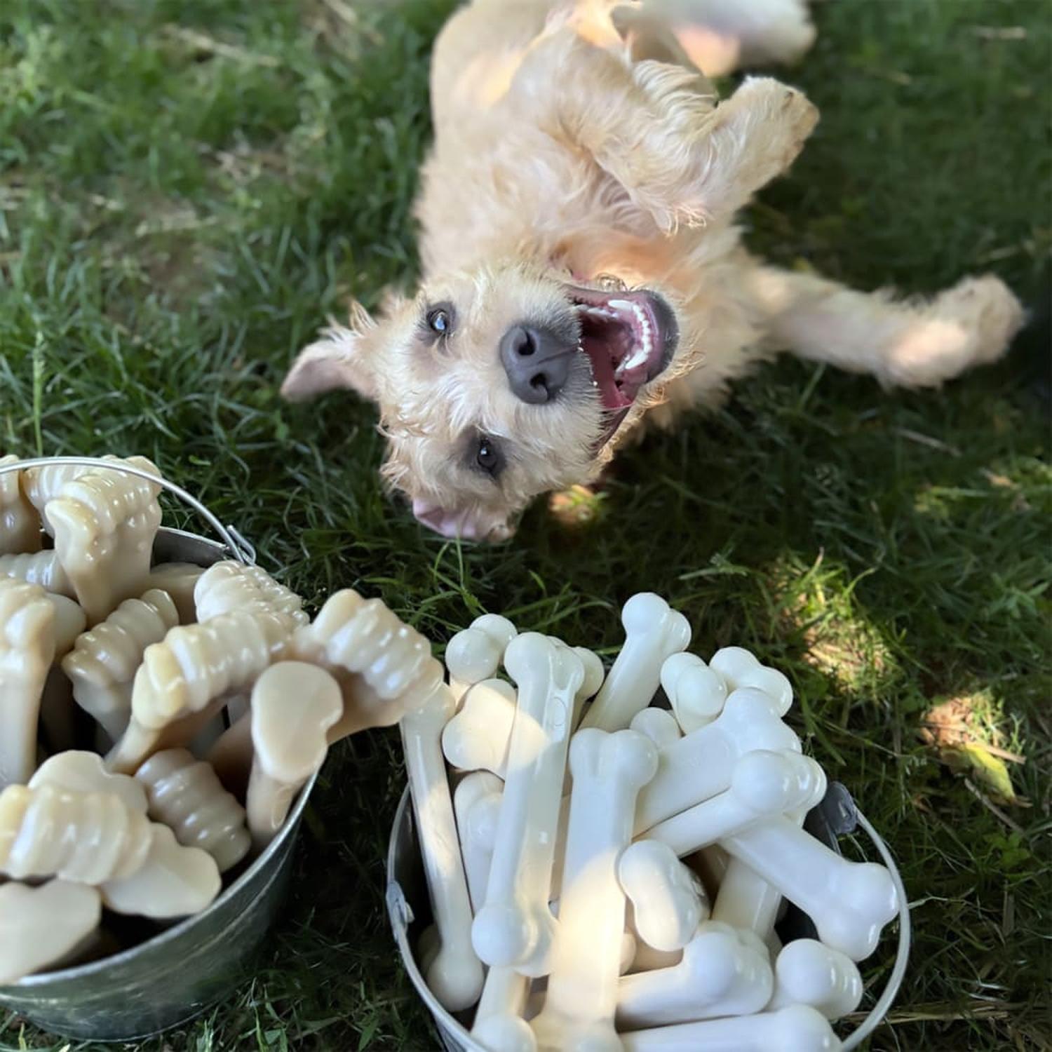Nylabone juguete para perro Dura Chew Pollo chico | G.Valkyria - imagen 2