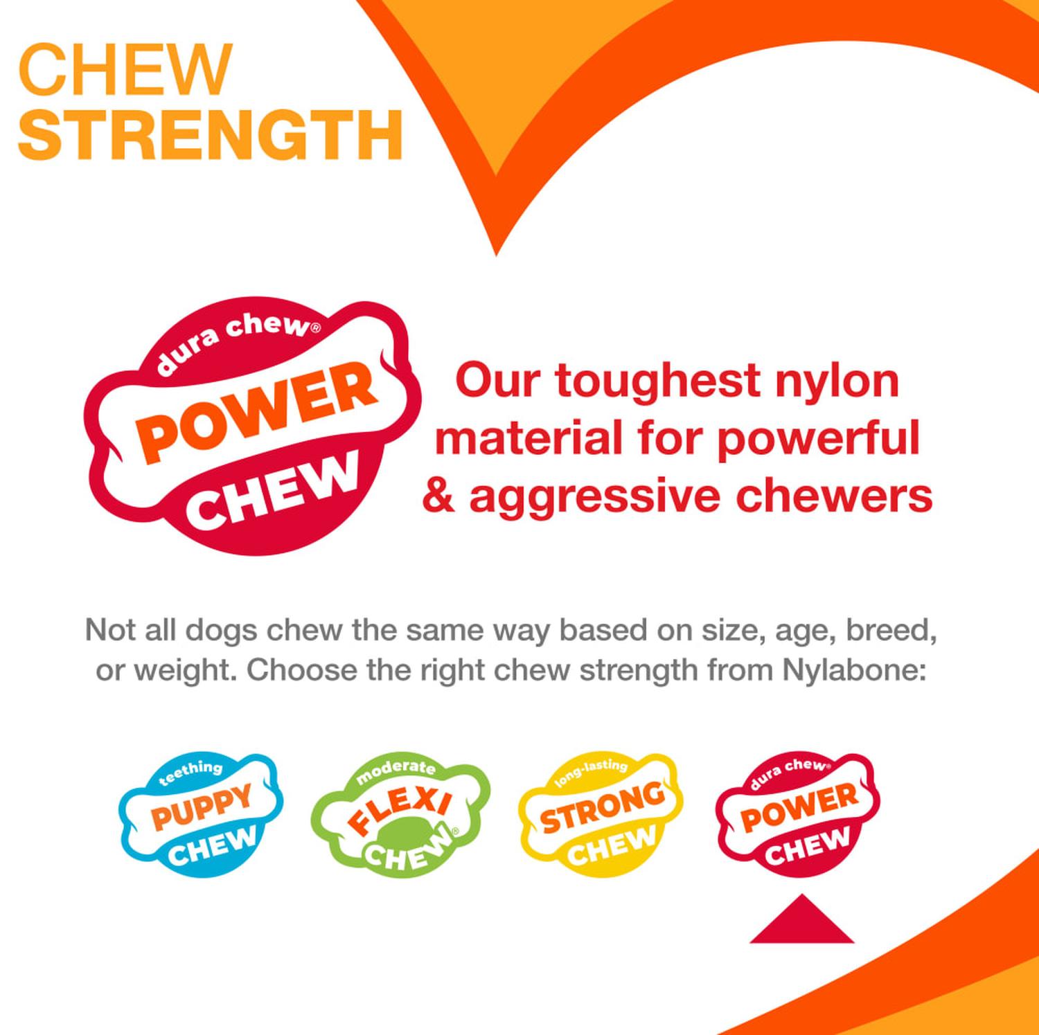 Nylabone juguete para perro Dura Chew Tocino chico | G.Valkyria - imagen 4