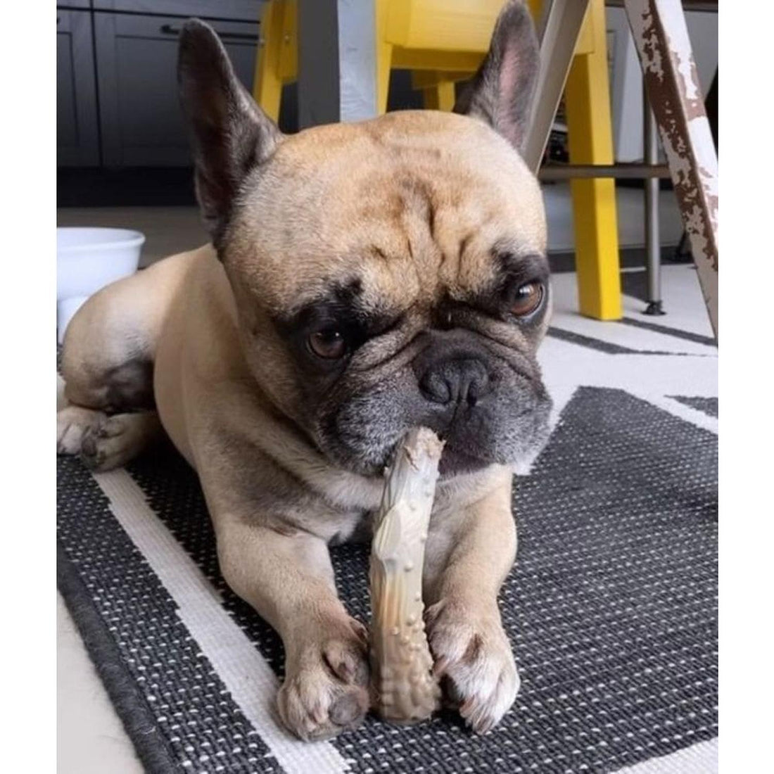 Nylabone juguete para perro Power Chew Astas De Venado mediano | G.Valkyria - imagen 1