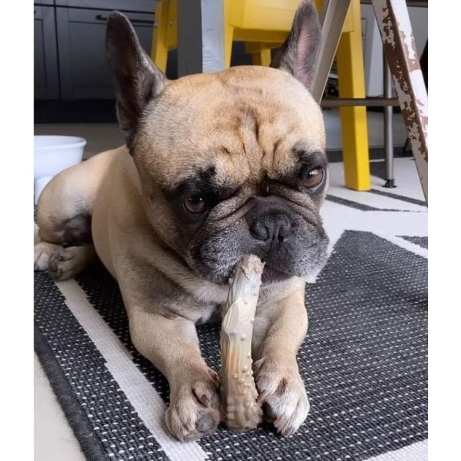 Nylabone juguete para perro Power Chew Astas De Venado mediano | G.Valkyria - imagen 2