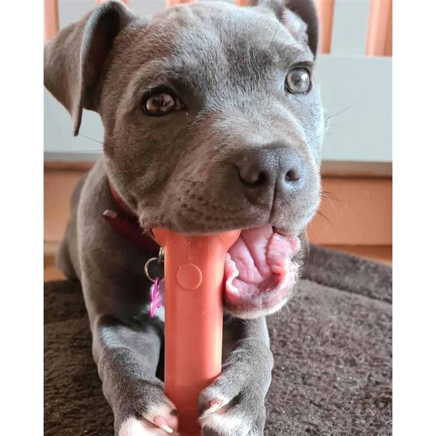 Nylabone juguete para perro Power Chew Tocino Mediano | G.Valkyria - imagen 3