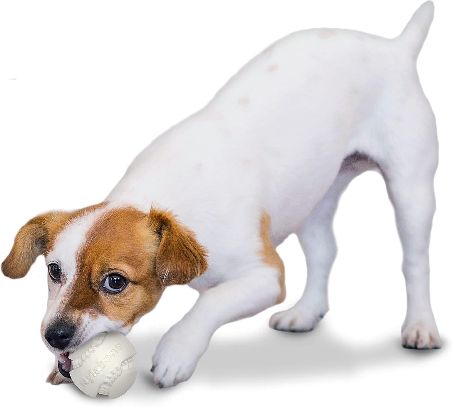 Nylabone juguete para perro Power Play Baseball | G.Valkyria - imagen 4