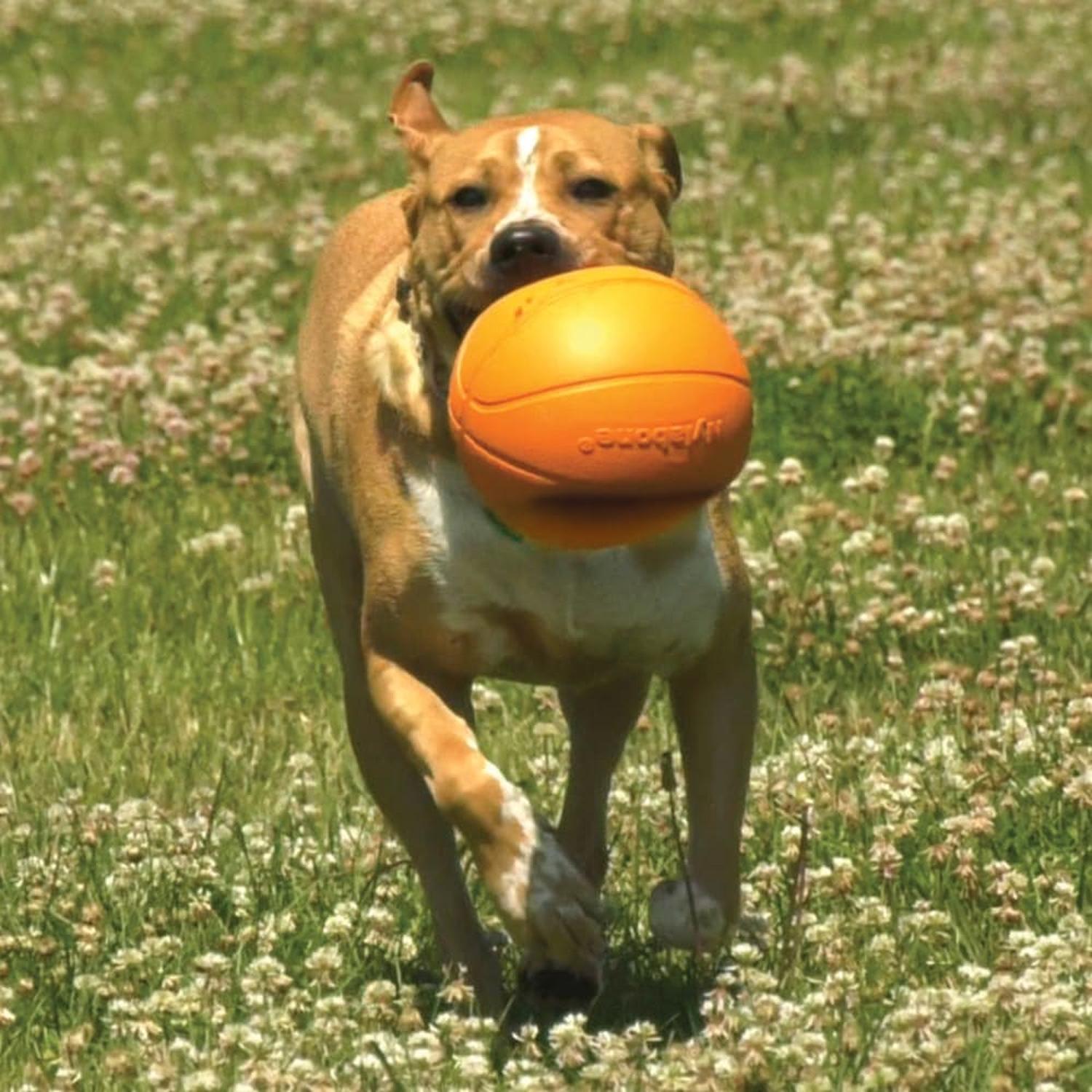 Nylabone juguete para perro Power Play Basketball | G.Valkyria - imagen 4