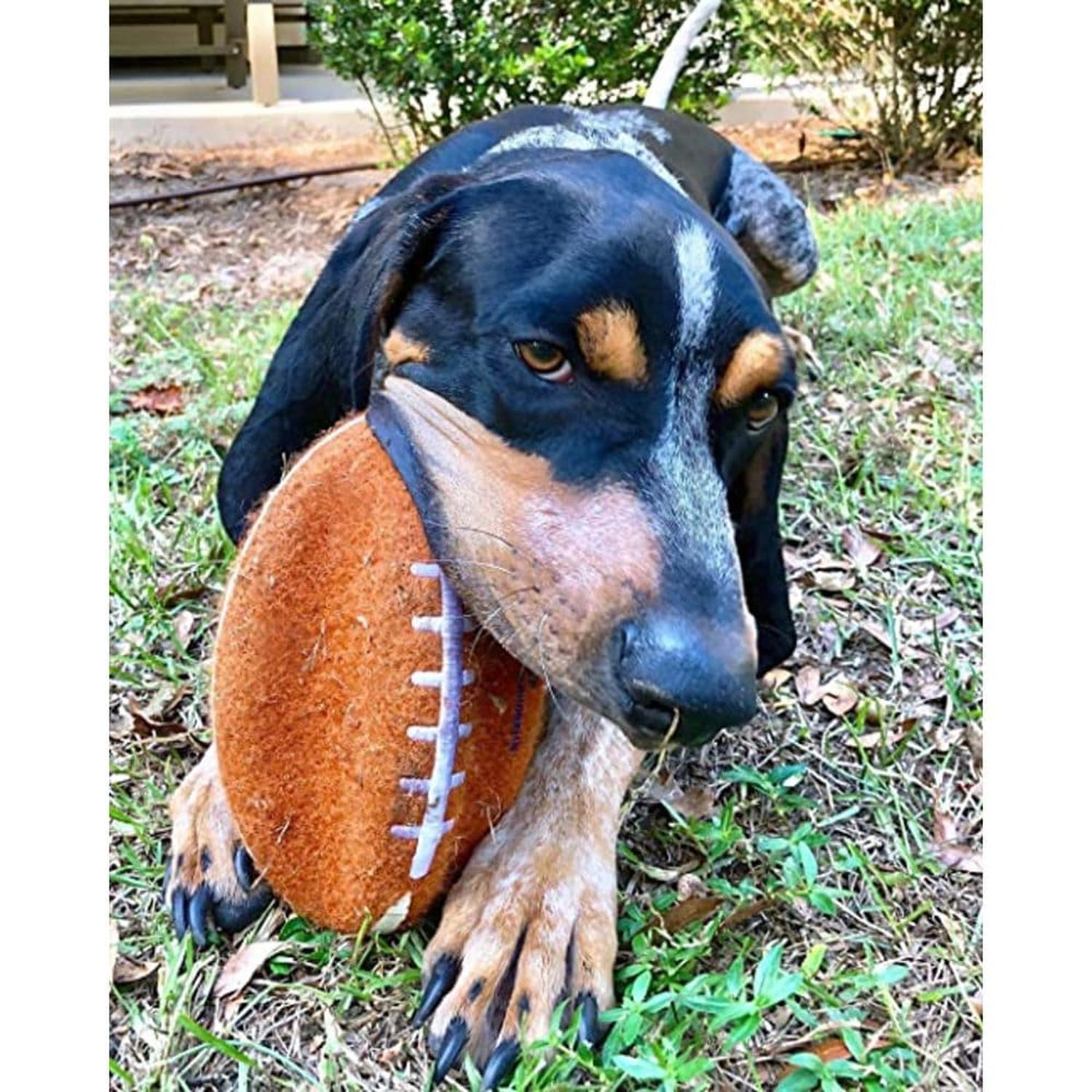 Nylabone juguete para perro Power Play Football | G.Valkyria - imagen 3