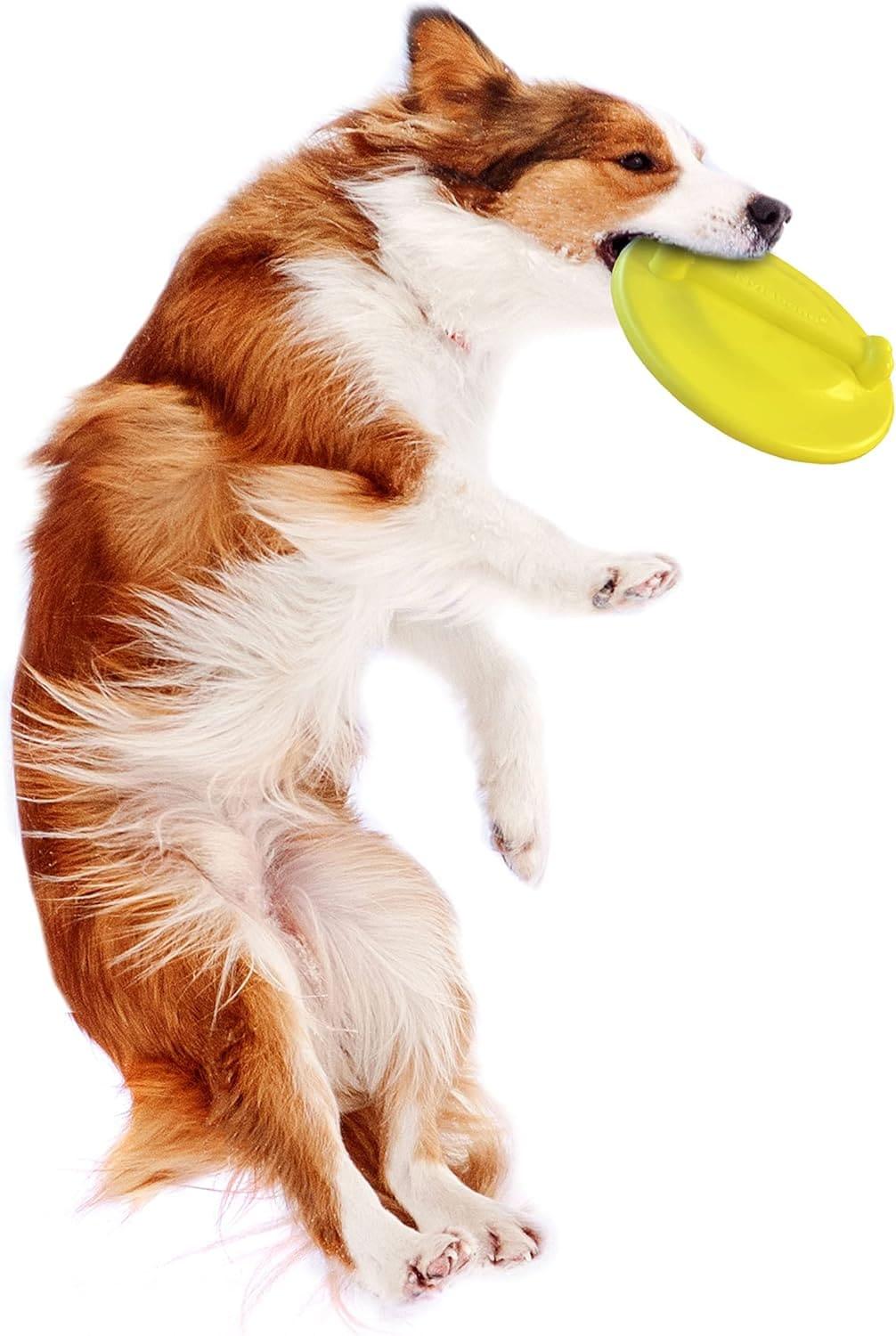 Nylabone juguete para perro Power Play Glider Flyer | G.Valkyria - imagen 5