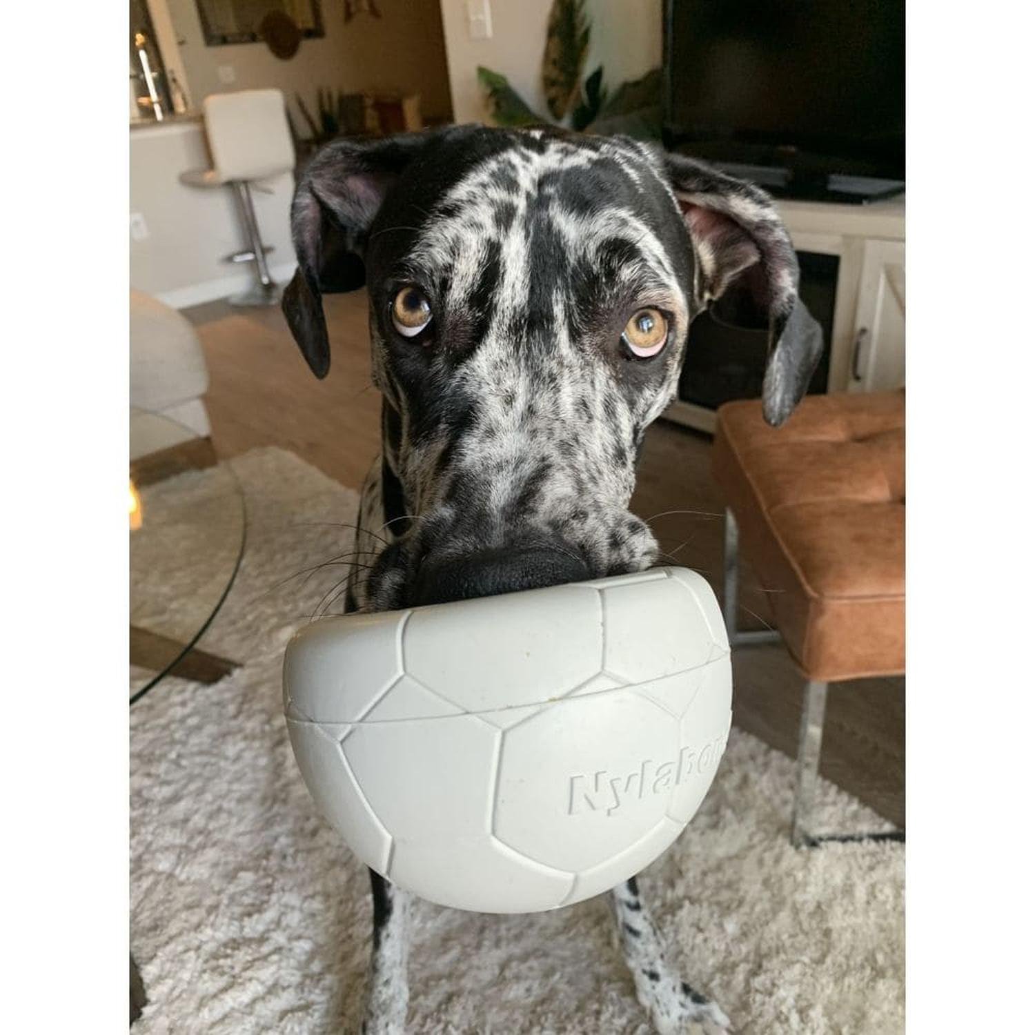 Nylabone juguete para perro Power Play Soccer Ball | G.Valkyria - imagen 2