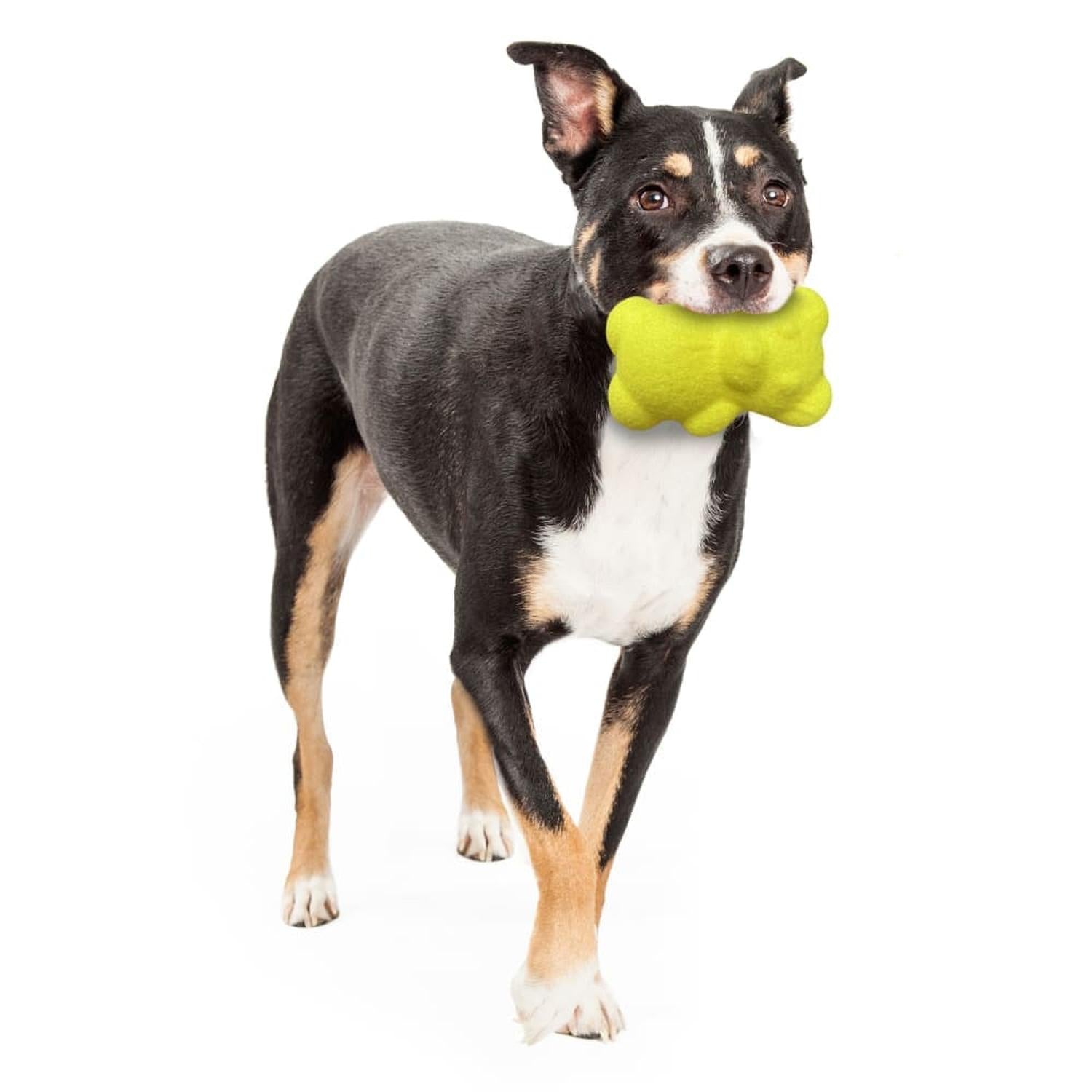 Nylabone juguete para perro Power Play Teddy Bear chico | G.Valkyria - imagen 5