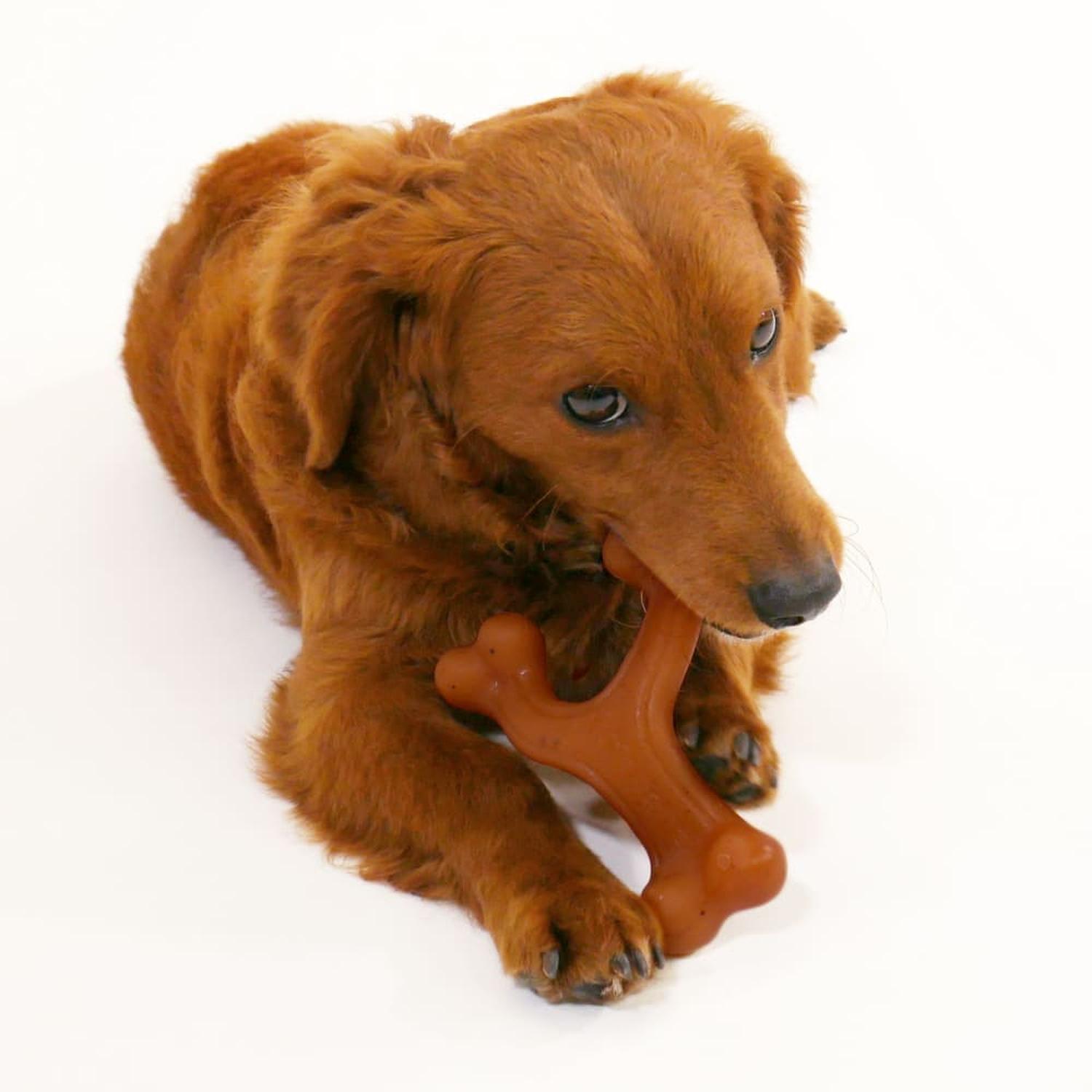 Nylabone juguete para perro Wishbone Gourmet Tocino chico | G.Valkyria - imagen 4
