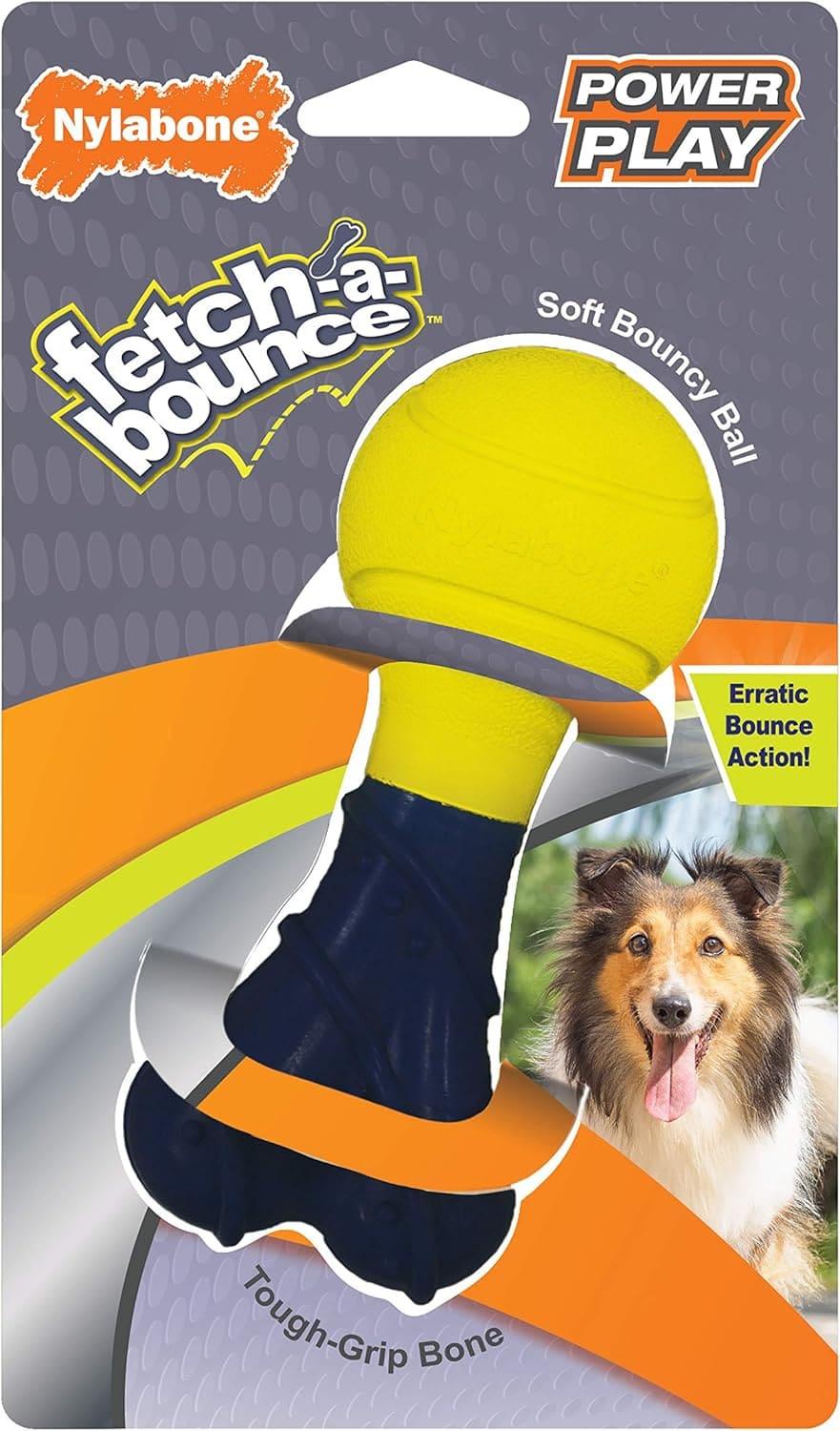 Nylabone juguete perro Interactivo Power Play Fetch-A-Bounce | G.Valkyria - imagen 1