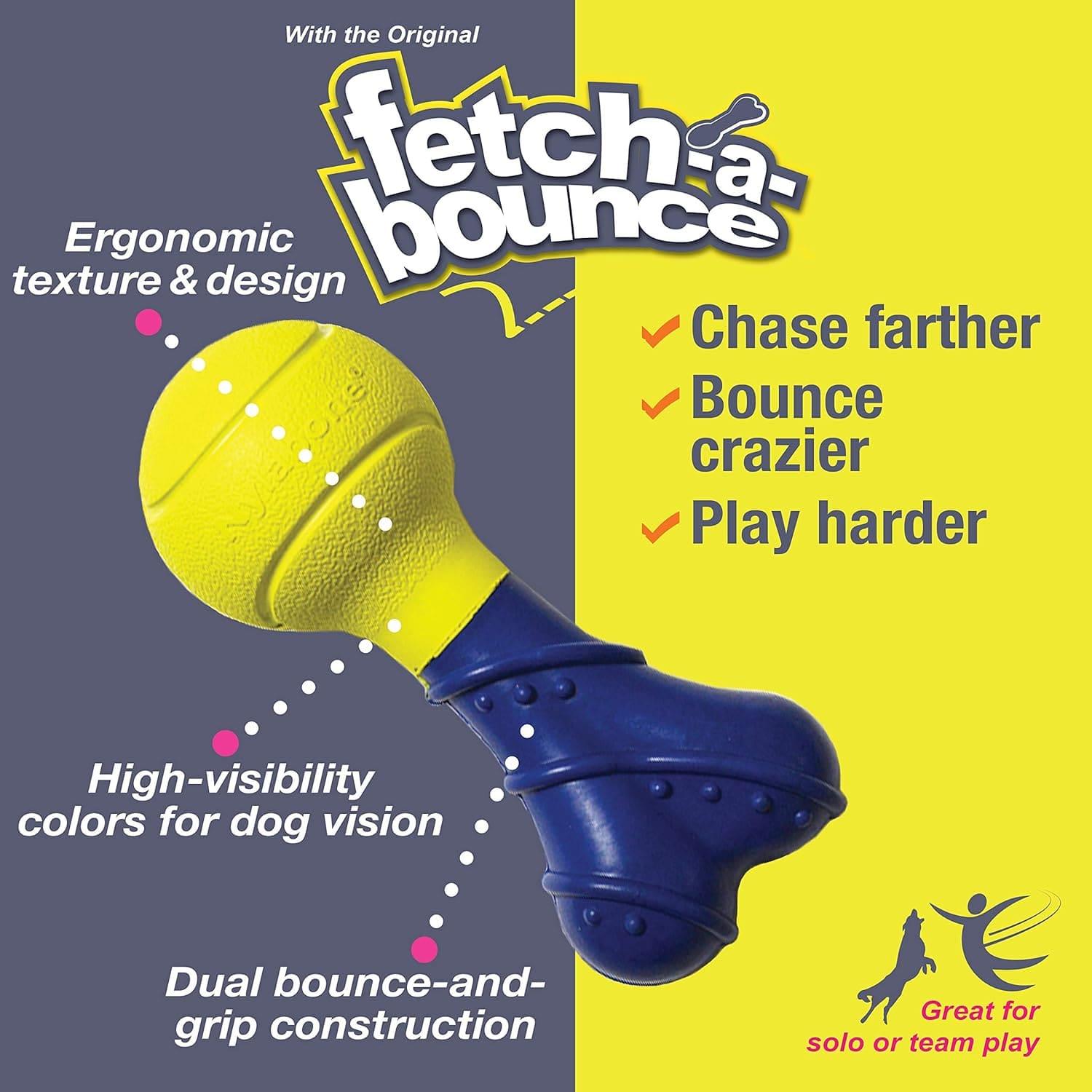Nylabone juguete perro Interactivo Power Play Fetch-A-Bounce | G.Valkyria - imagen 3