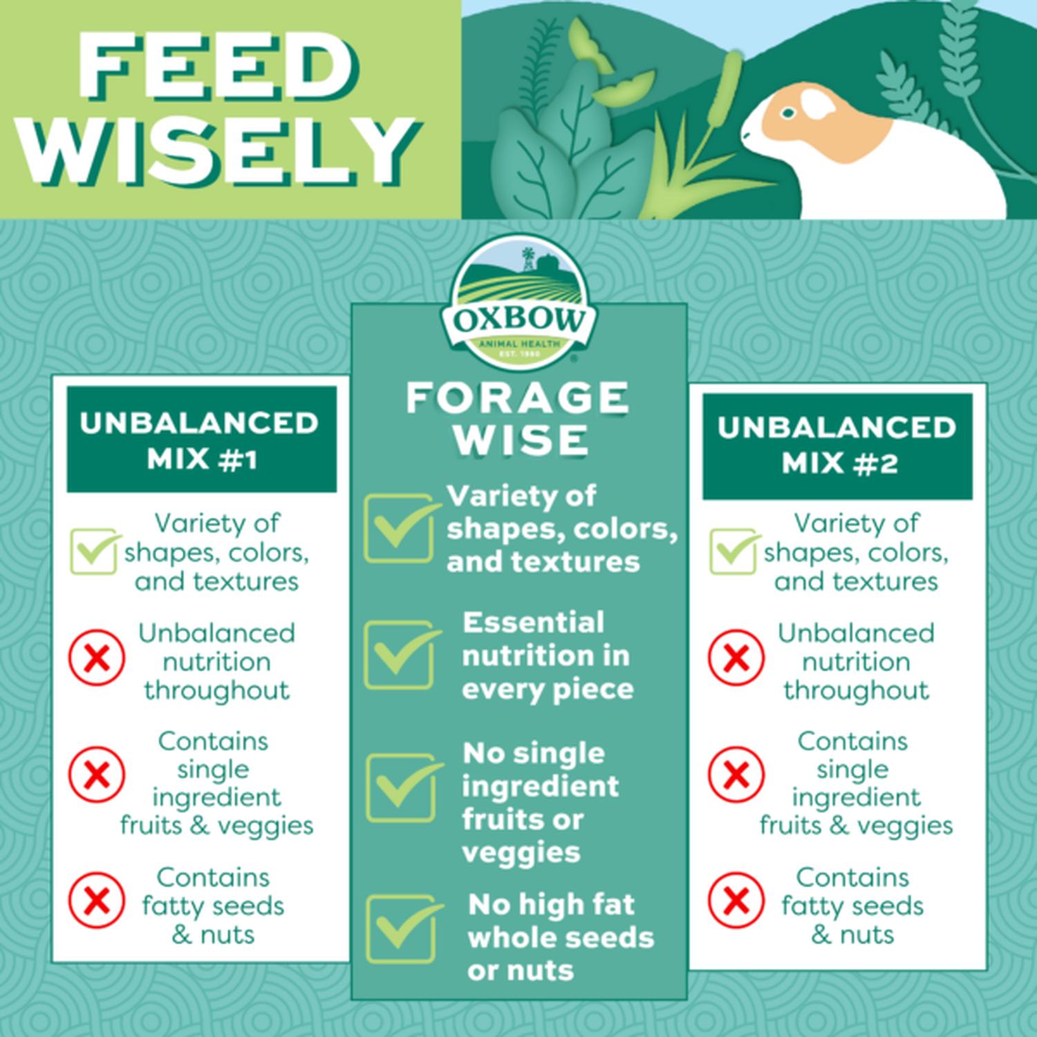 Oxbow Alimento Oxbow Forage Wise Cuyo 1.816 kg | G.Valkyria - imagen 4