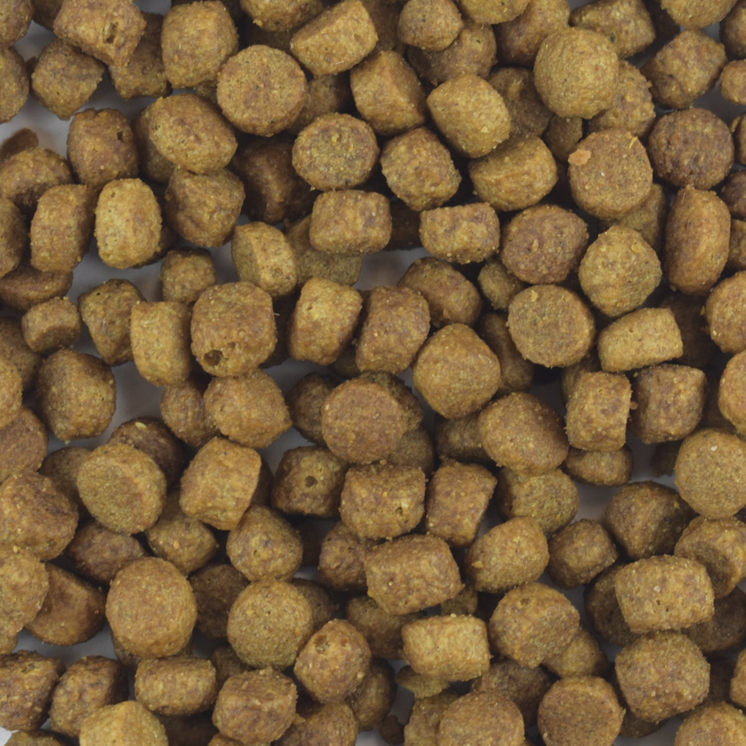 Alimento Cachorro raza grande y mediana Perfect Sense 8kg | G.Valkyria - imagen 3