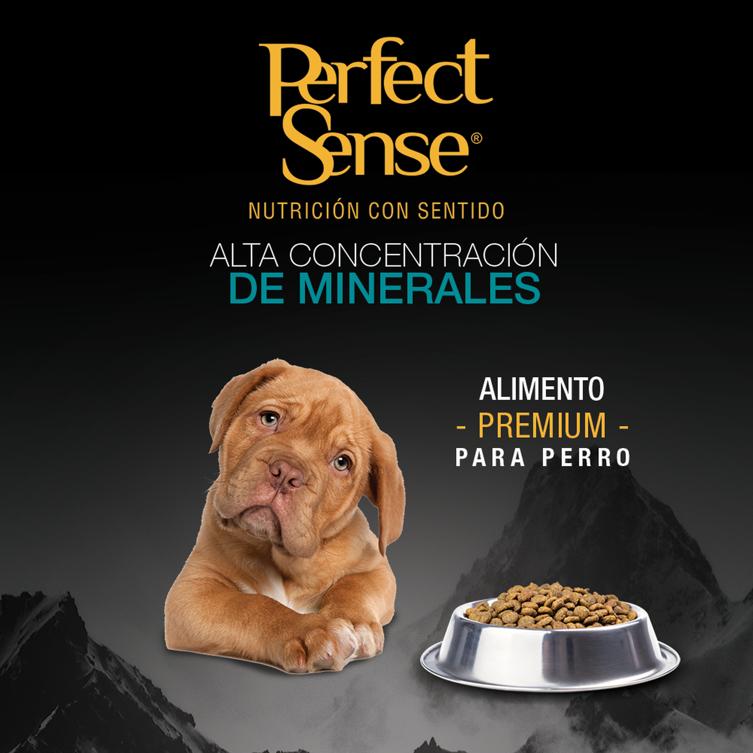 Alimento Cachorro raza grande y mediana Perfect Sense 8kg | G.Valkyria - imagen 5