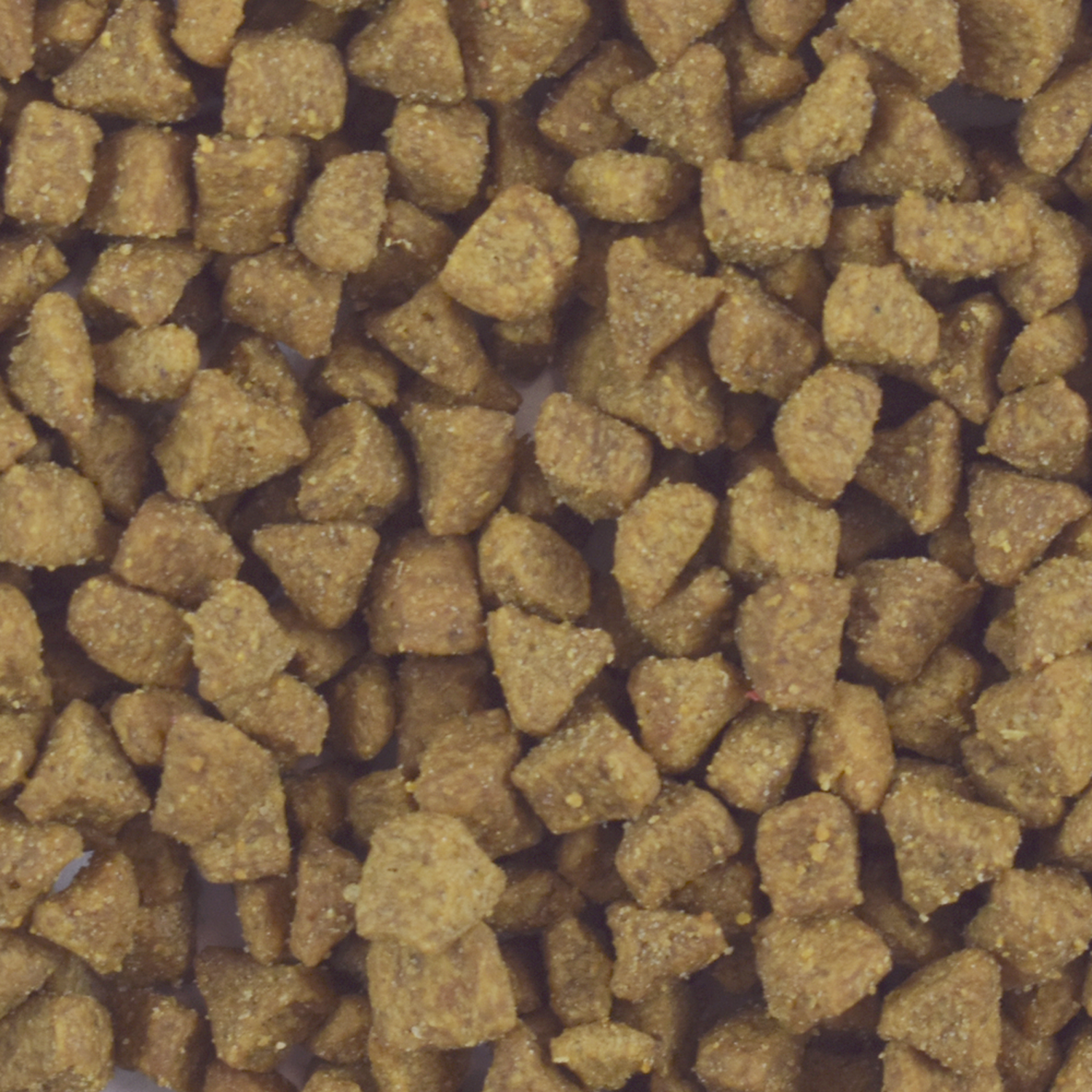 Alimento para gato cría Perfect Sense Kitten 1.5 Kg | G.Valkyria - imagen 2
