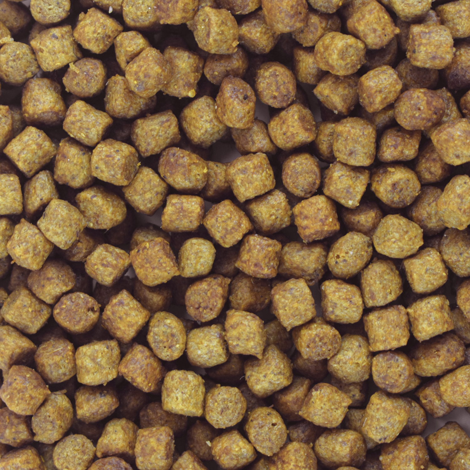 Alimento para perro viejito Perfect Sense Senior 15 Kg | G.Valkyria - imagen 2