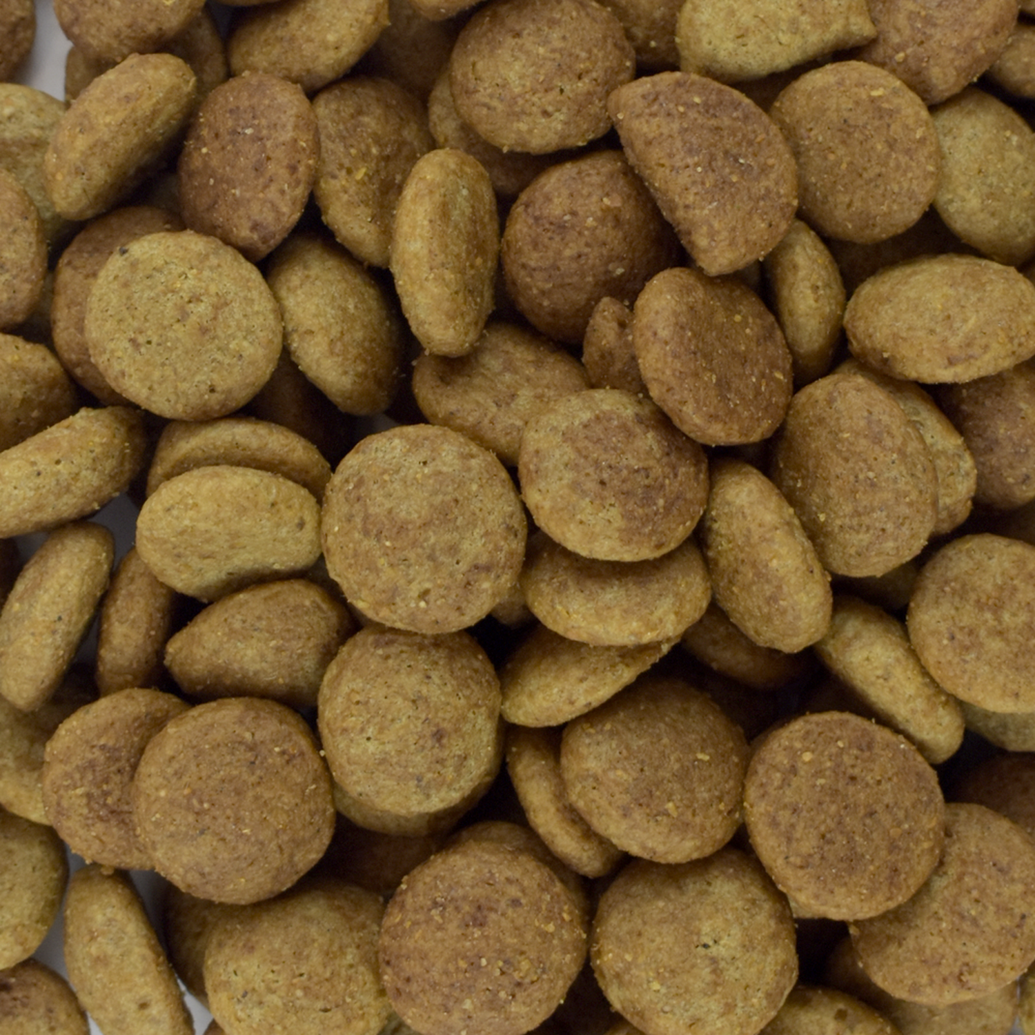 Alimento perro adulto raza grande/mediana Perfect Sense 3Kg | G.Valkyria - imagen 2