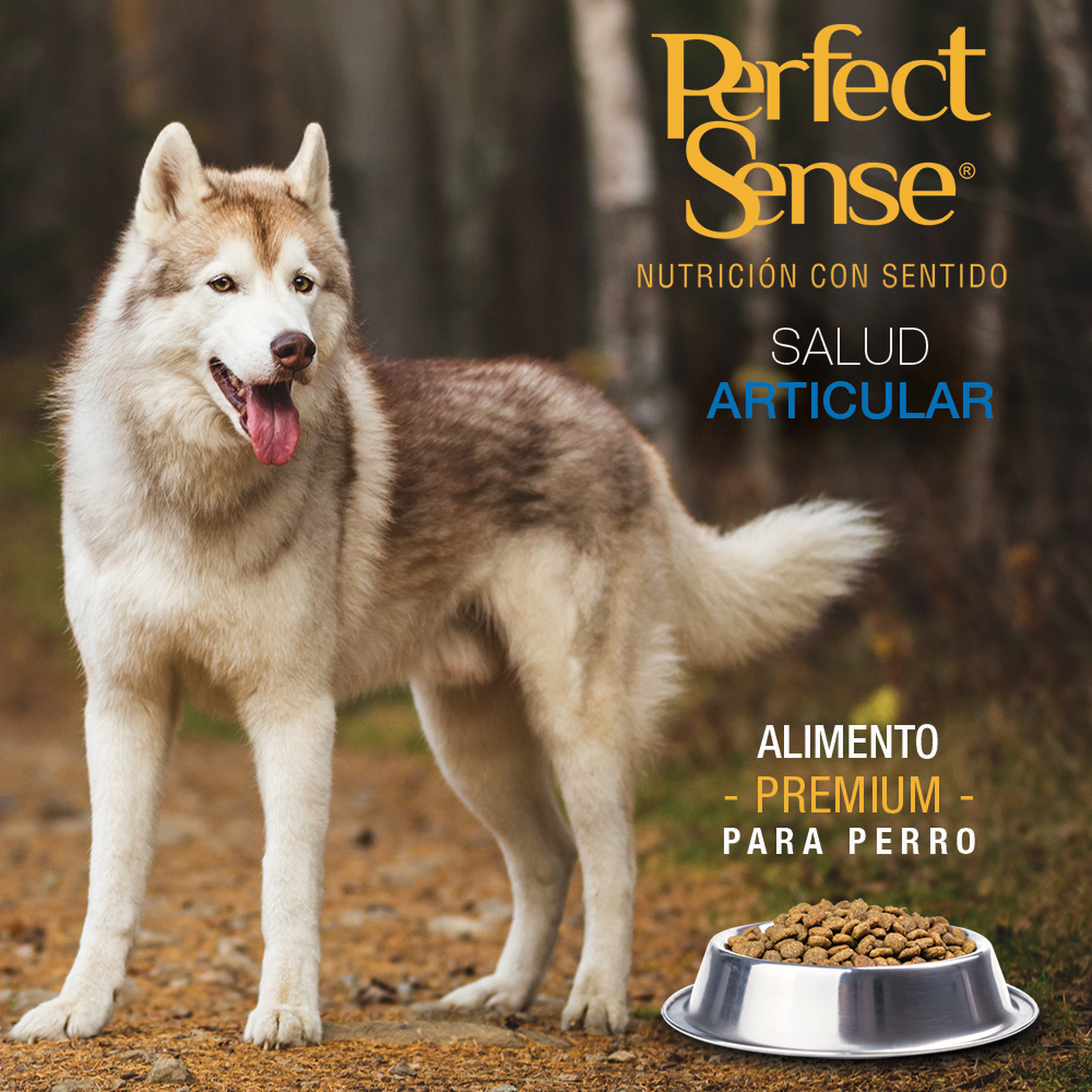 Alimento perro adulto raza grande/mediana Perfect Sense 3Kg | G.Valkyria - imagen 4