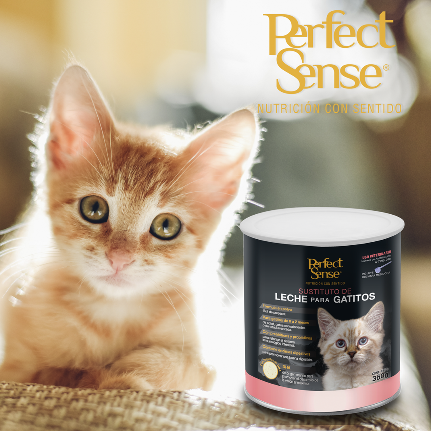 Perfect Sense formula leche polvo sustituto de gatitos 360g | G.Valkyria - imagen 3