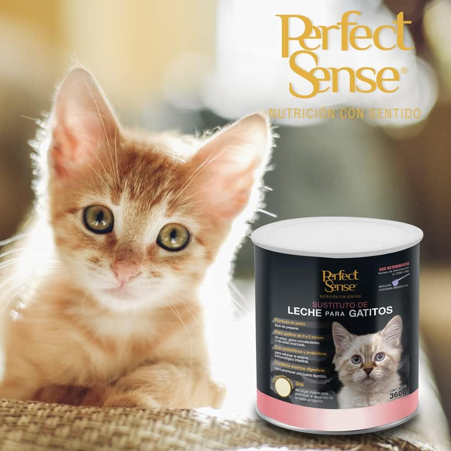 Perfect Sense formula leche polvo sustituto de gatitos 360g | G.Valkyria - imagen 4
