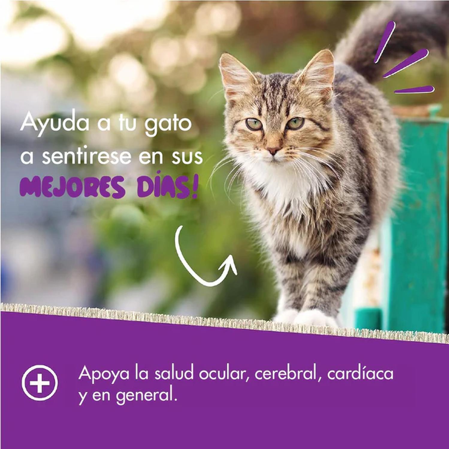 Pet Naturals Daily Multi Vitaminas Para Gatos 37.5 grs | G.Valkyria - imagen 3