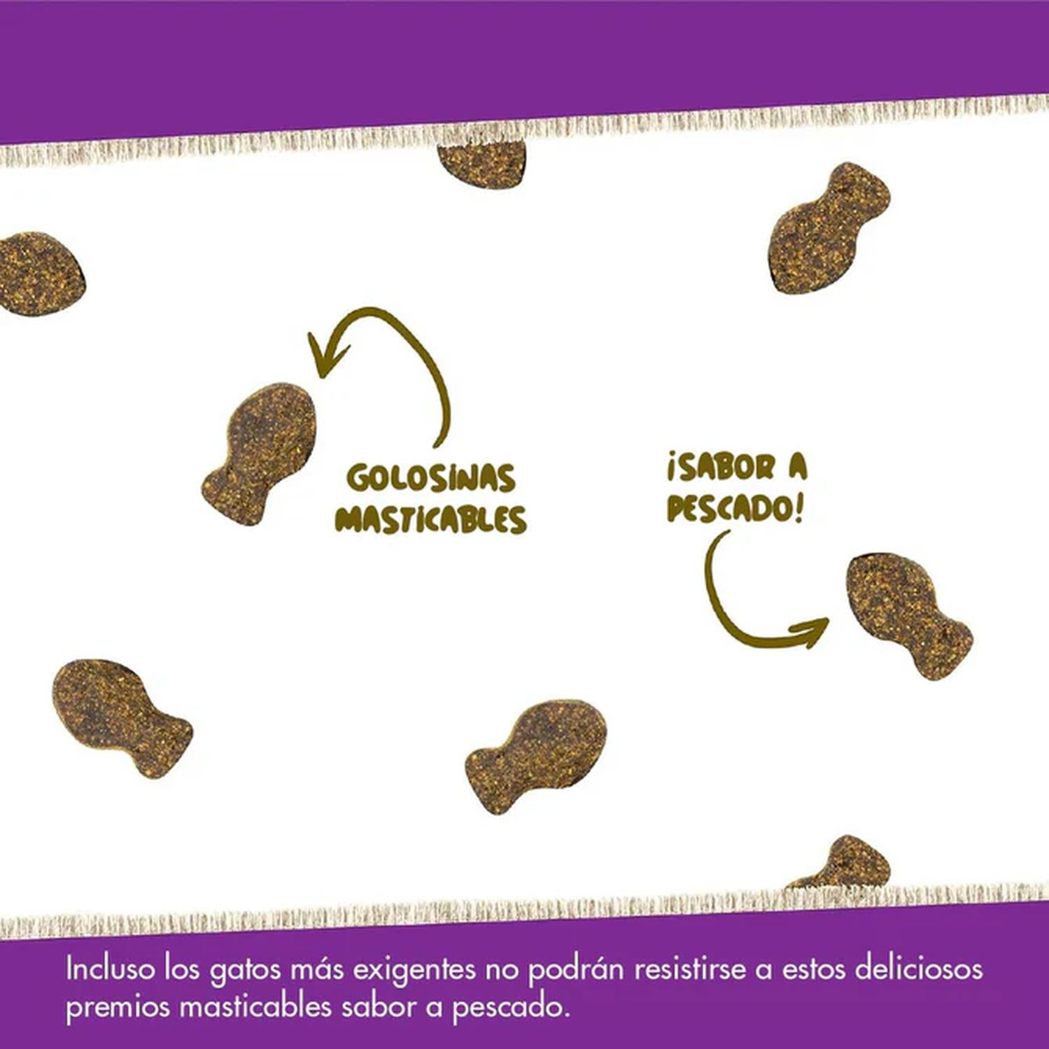 Pet Naturals Daily Multi Vitaminas Para Gatos 37.5 grs | G.Valkyria - imagen 4