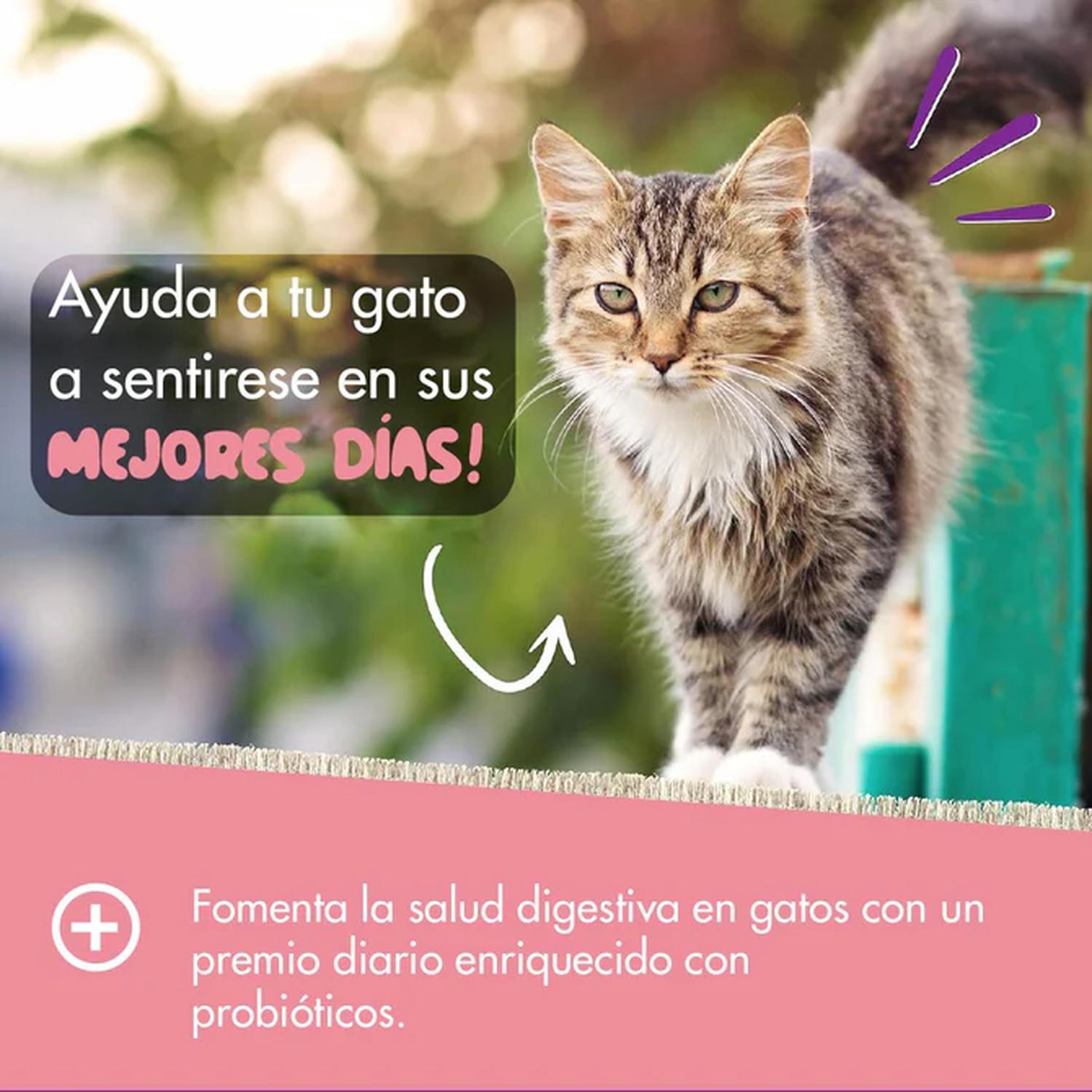 Pet Naturals Daily Probiotic Para Gatos all size 36 grs | G.Valkyria - imagen 3