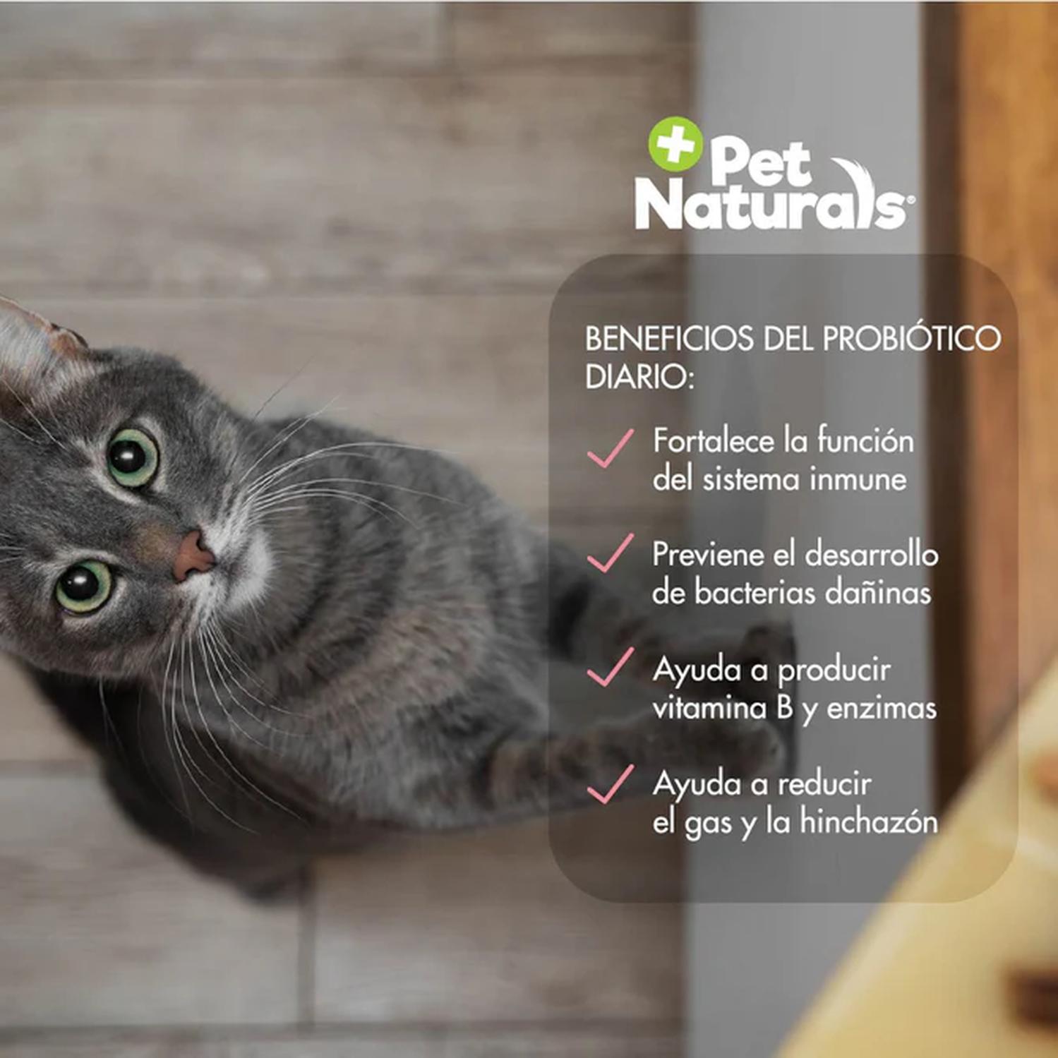 Pet Naturals Daily Probiotic Para Gatos all size 36 grs | G.Valkyria - imagen 4