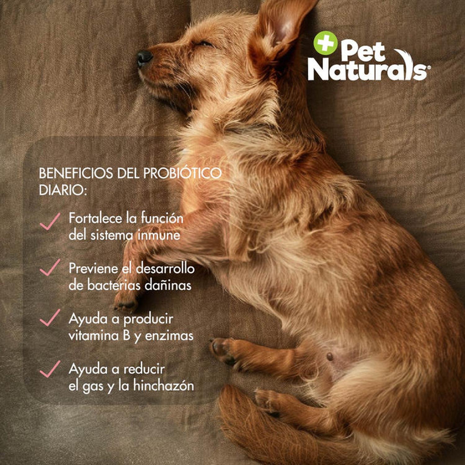 Pet Naturals Daily Probiotic Para Perros all size 72 grs | G.Valkyria - imagen 4