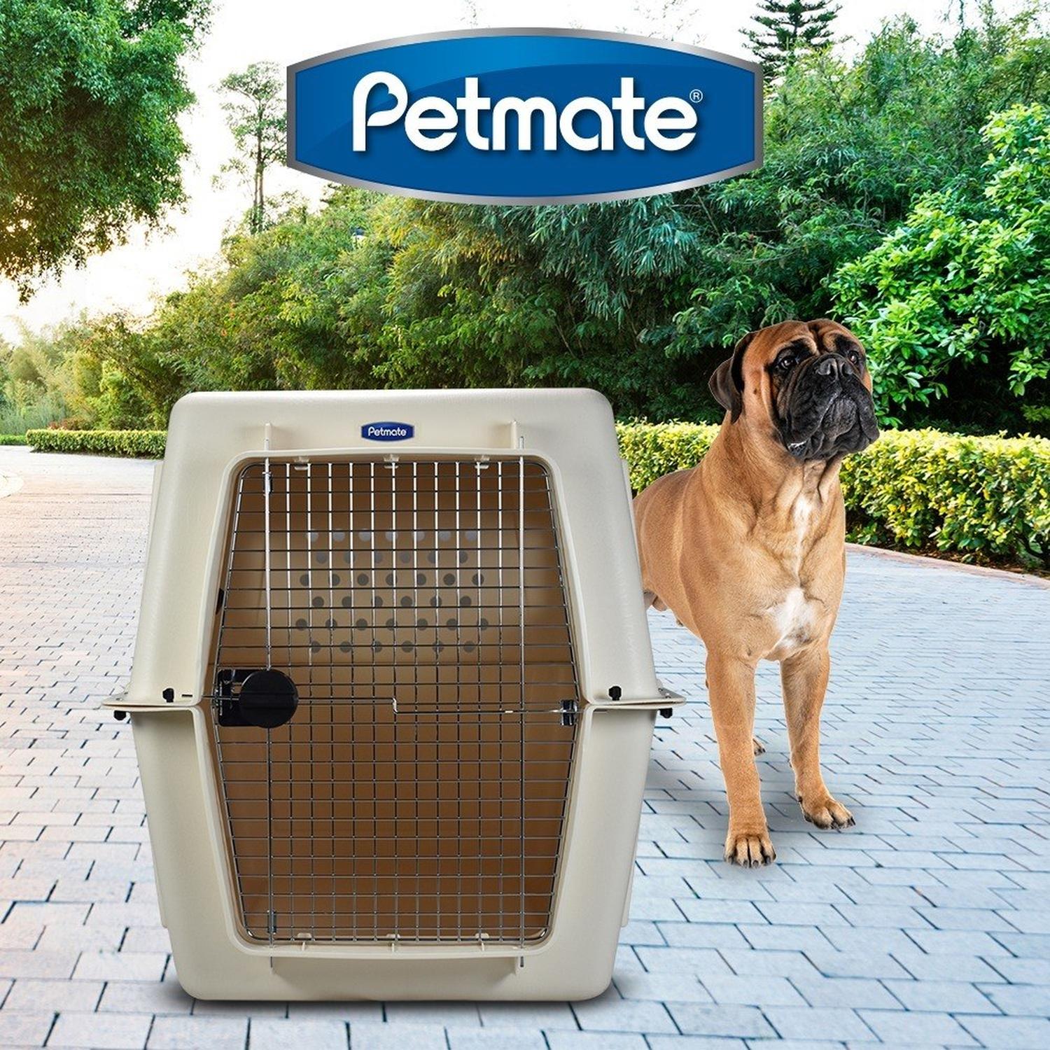 Transportadora perro Vari Kennel Gigante 120x80x87 de Petmate | G.Valkyria - imagen 3